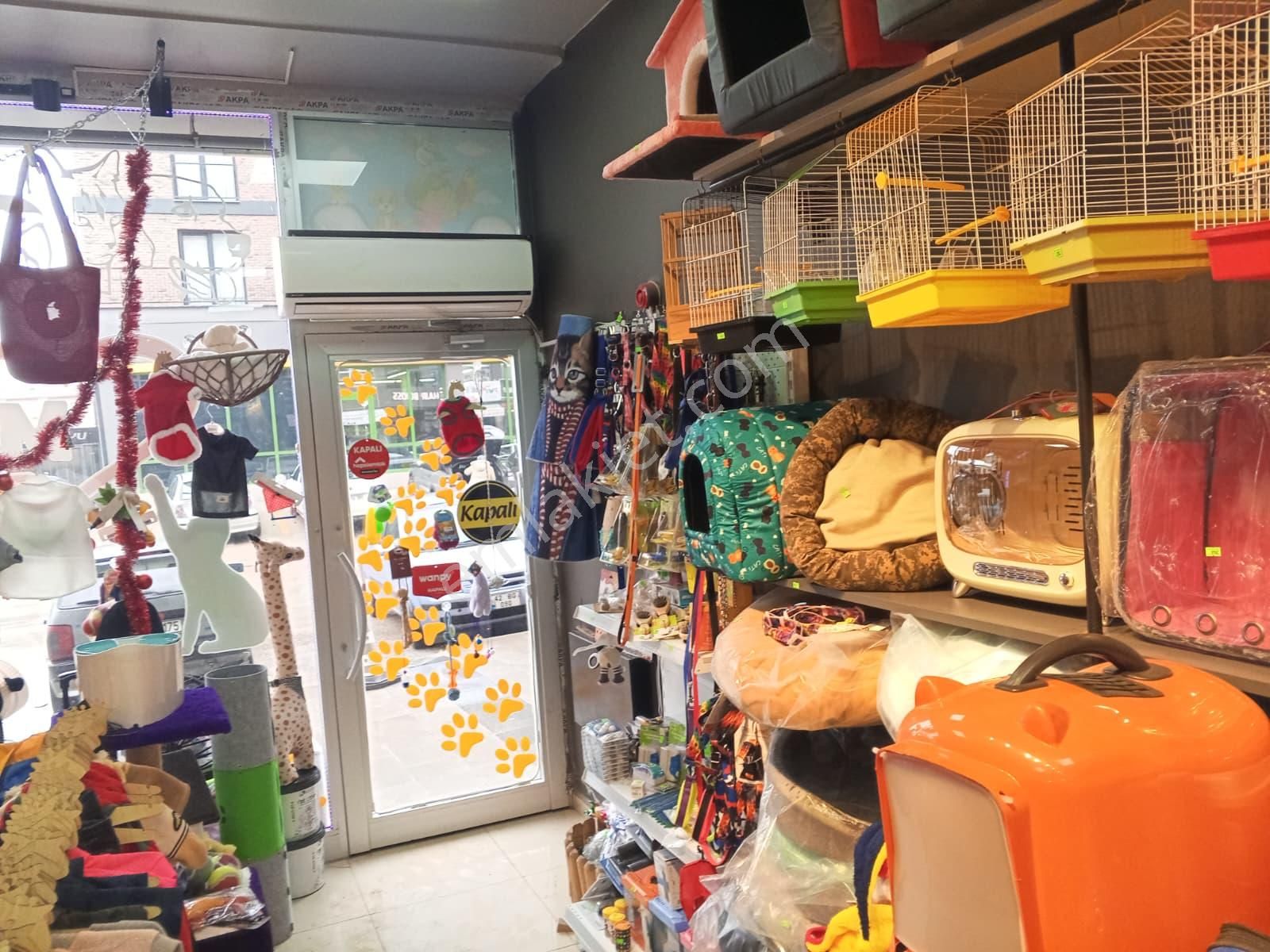 Devren Satılık Yüksek Cirolu Petshop - Görsel 26