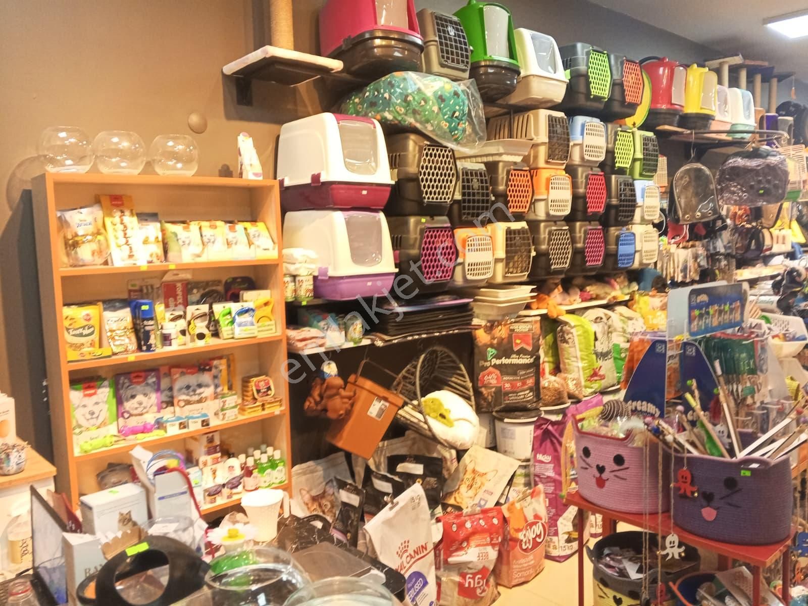 Devren Satılık Yüksek Cirolu Petshop - Görsel 31