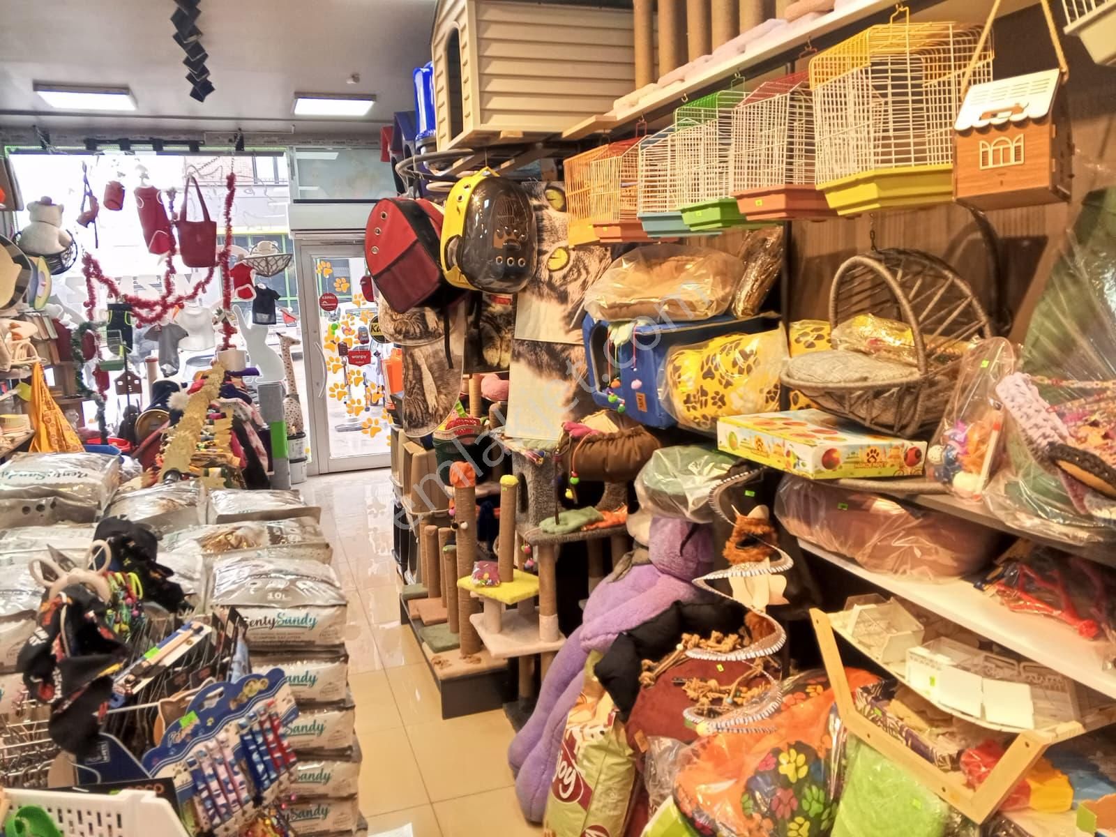 Devren Satılık Yüksek Cirolu Petshop - Görsel 28