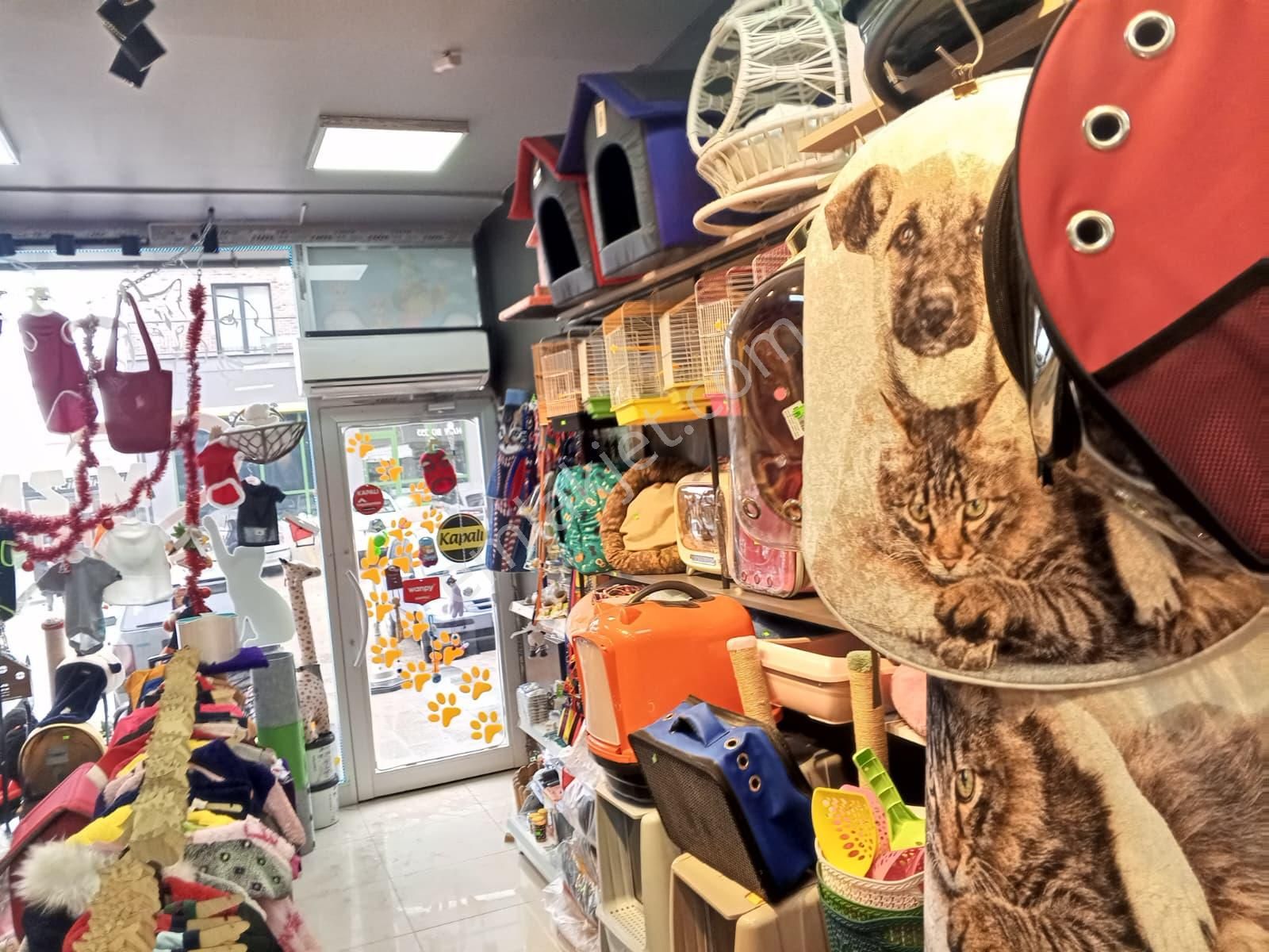 Devren Satılık Yüksek Cirolu Petshop - Görsel 24