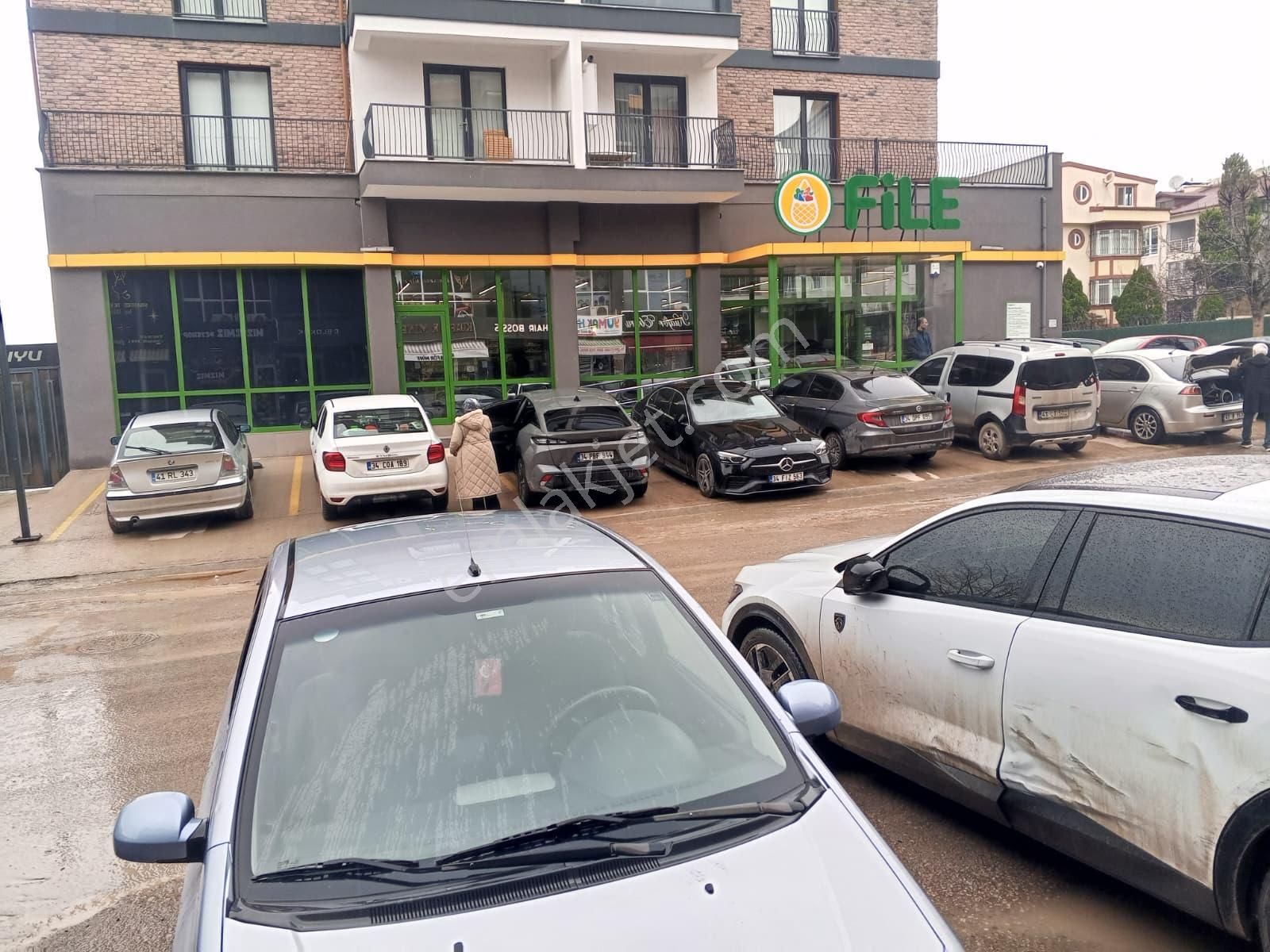 Devren Satılık Yüksek Cirolu Petshop - Görsel 16