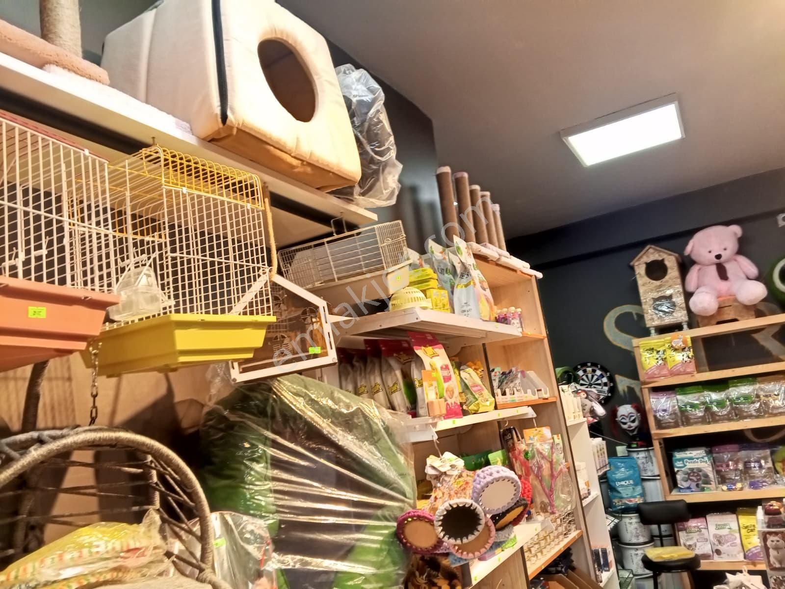 Devren Satılık Yüksek Cirolu Petshop - Görsel 11