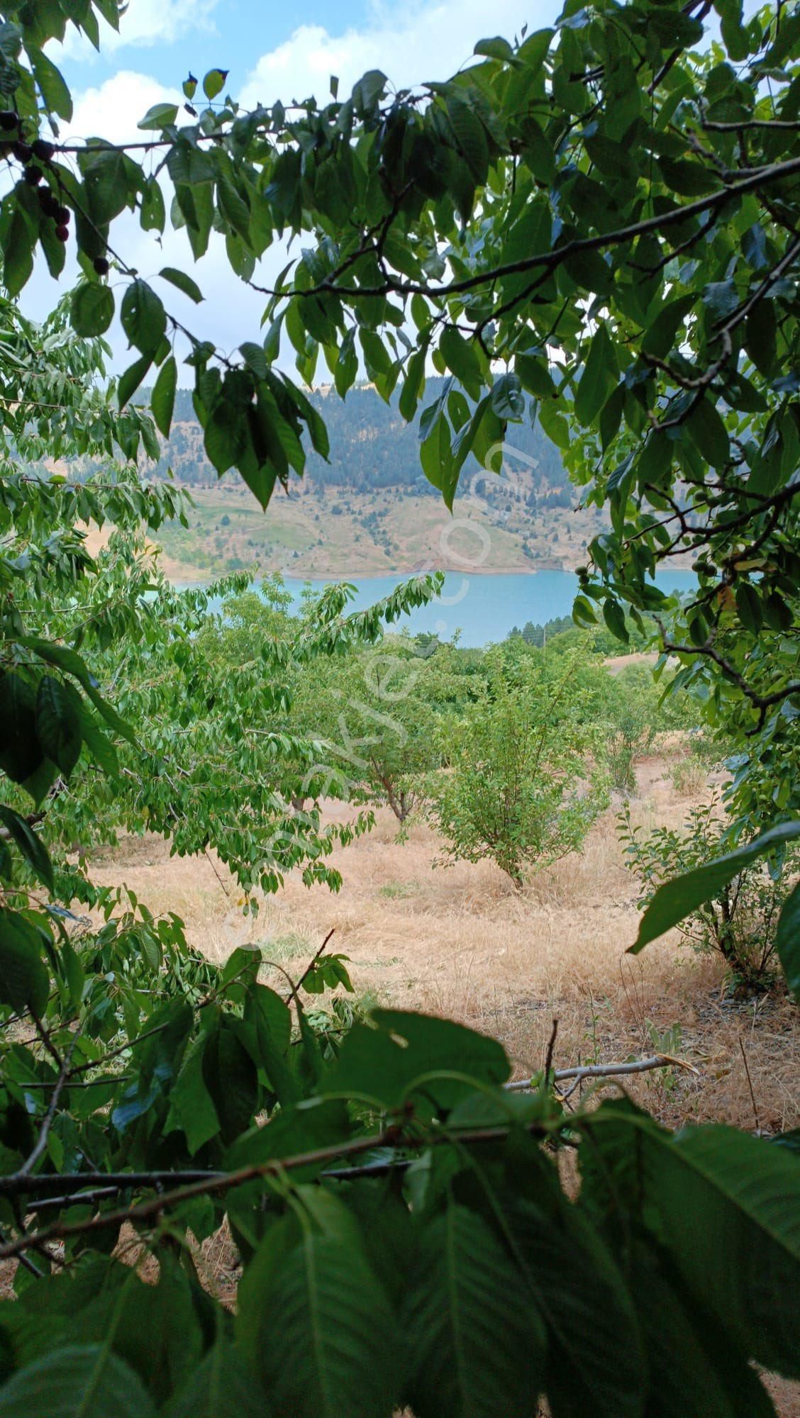 Mersin Erdemli İlemin Mah.de Karakızgöleti Manzaralı Satalık 4512 M.kare Tarla - Görsel 4