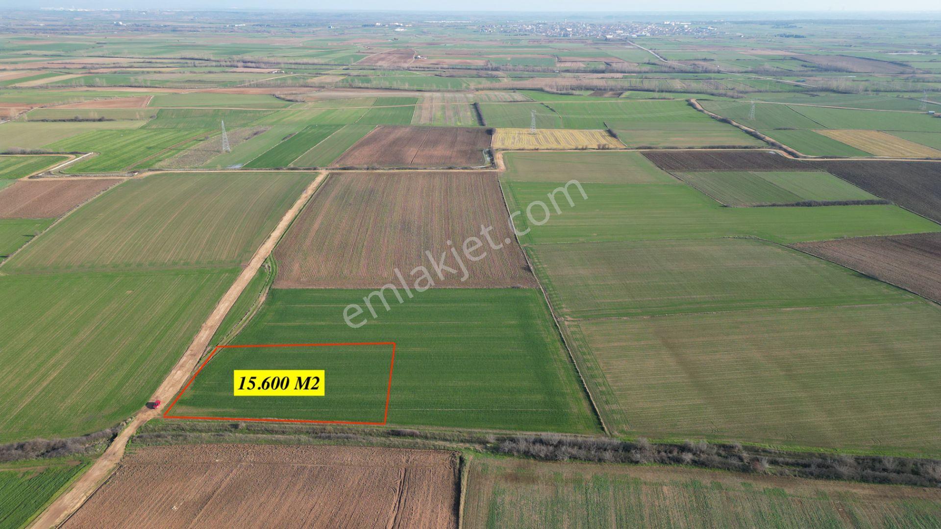 B&u Gayrimenkul'den Kavaklıda Yolu Ve Suyu Olan 15600 M2 Arazi - Görsel 6