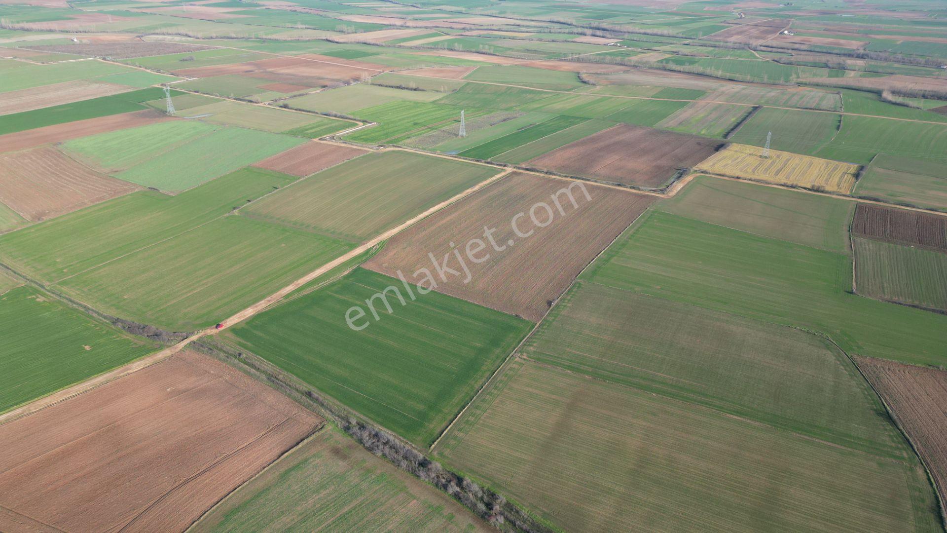 B&u Gayrimenkul'den Kavaklıda Yolu Ve Suyu Olan 15600 M2 Arazi - Görsel 14