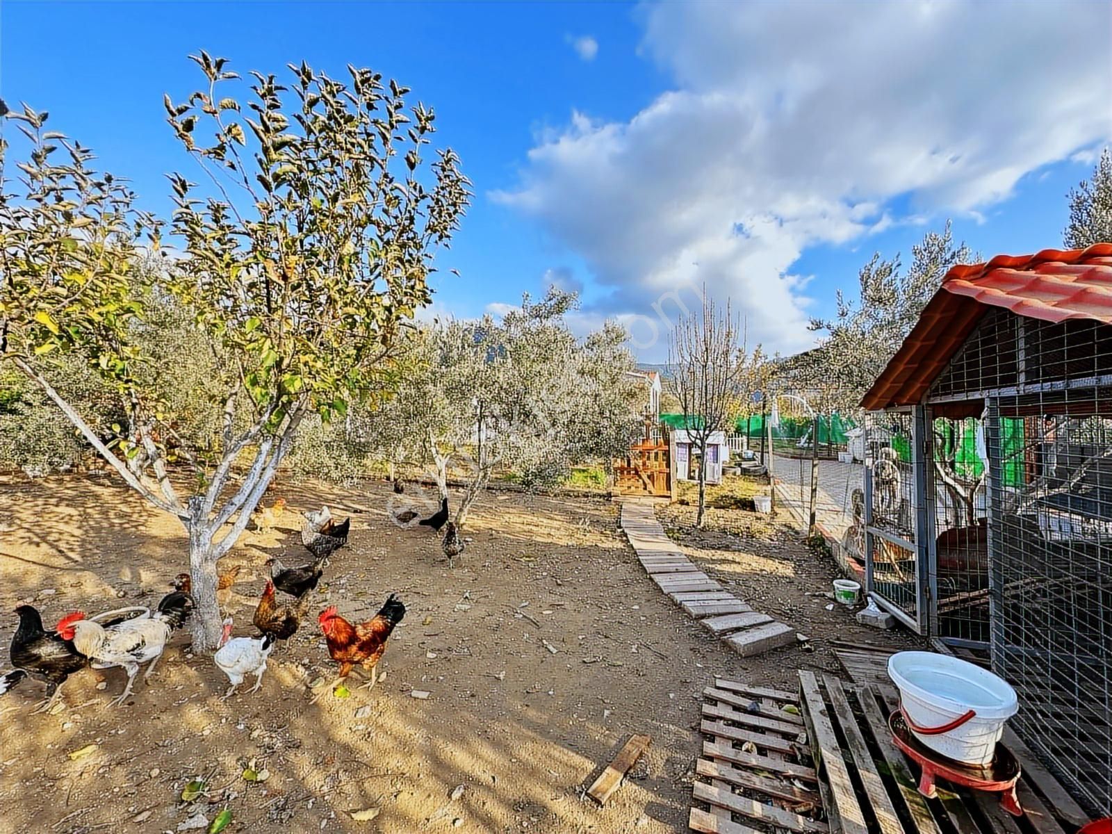 Öz-er Gayrimenkul Şehrin Gürültüsünden Uzak,müstakil Bahçe - Görsel 2