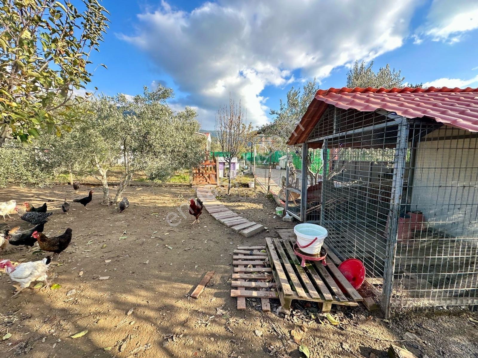 Öz-er Gayrimenkul Şehrin Gürültüsünden Uzak,müstakil Bahçe - Görsel 3