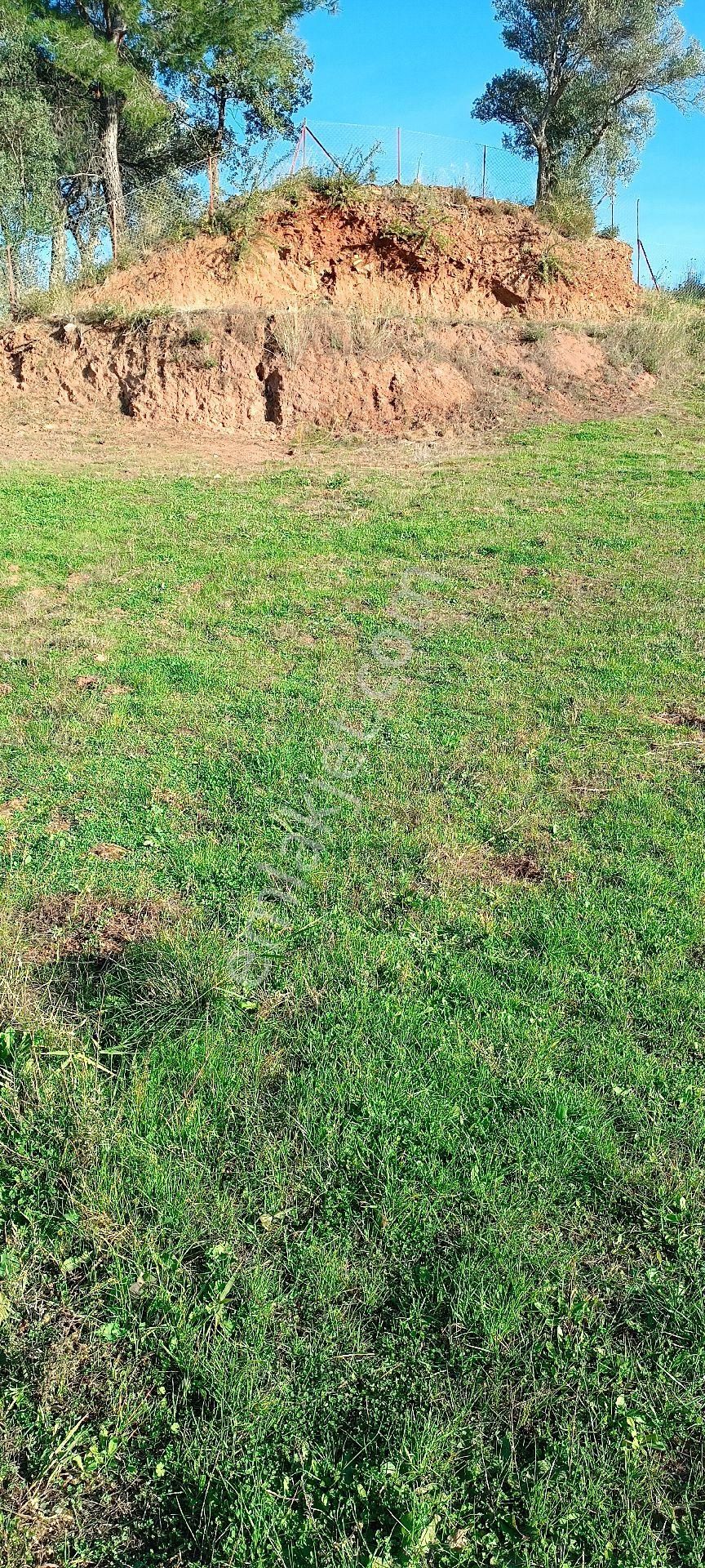 Tek Tapu Bahçem Satılıktır - Görsel 4