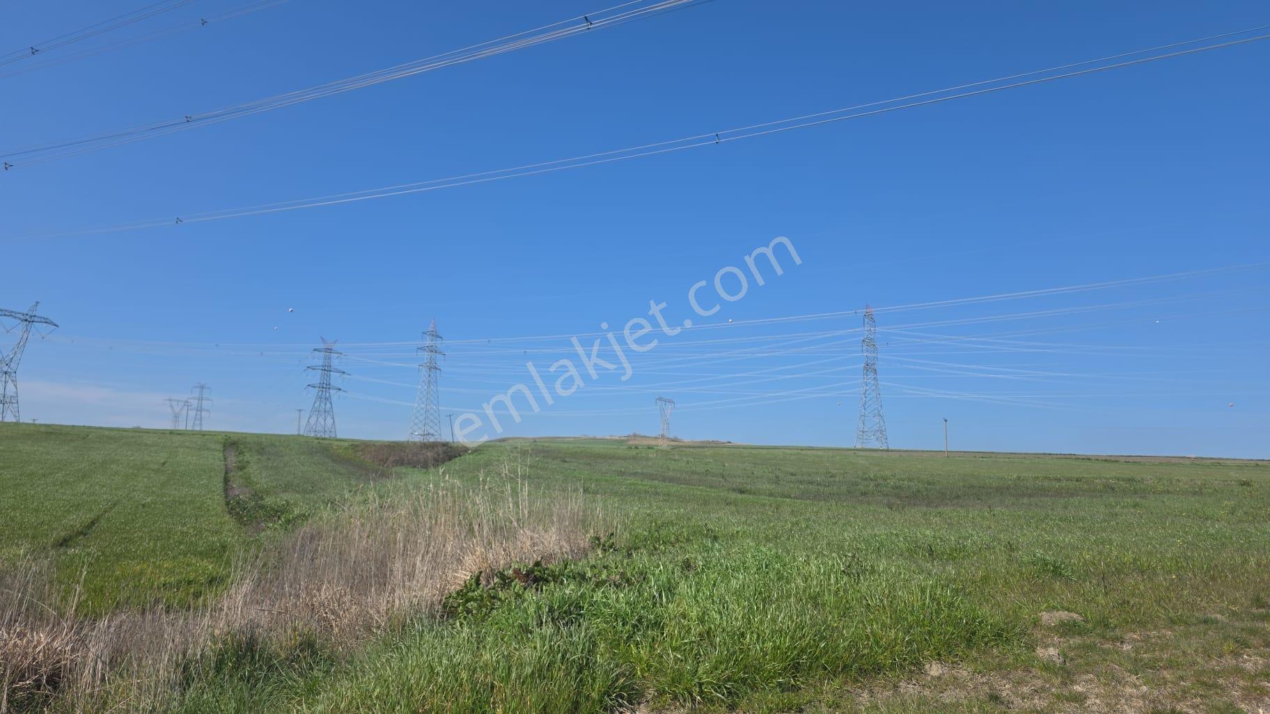 Çanakkale/gelibolu/bolayır Tek Tapu Tarla 22.720 M2 Satılıktır. - Görsel 14