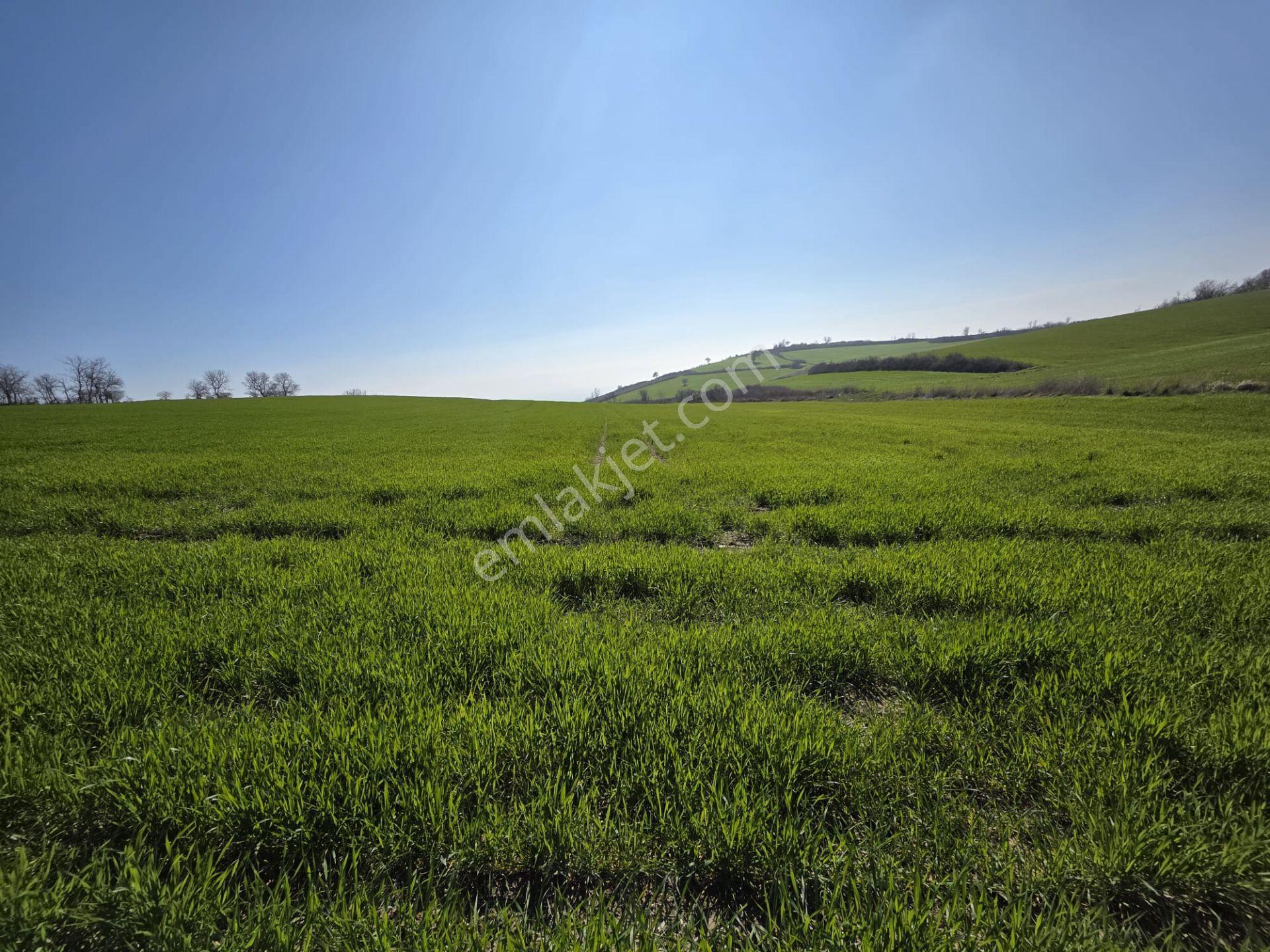 Çanakkale/gelibolu/bolayır Tek Tapu Tarla 22.720 M2 Satılıktır. - Görsel 7