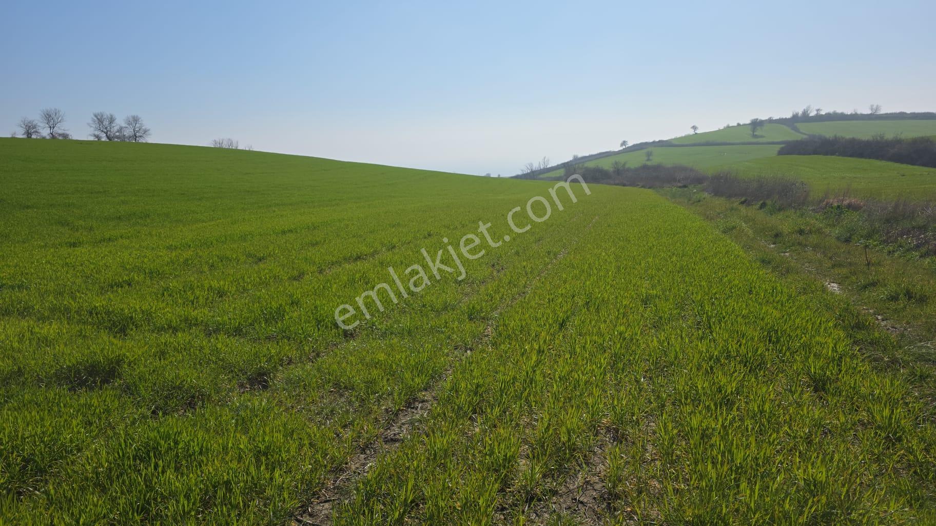 Çanakkale/gelibolu/bolayır Tek Tapu Tarla 22.720 M2 Satılıktır. - Görsel 12