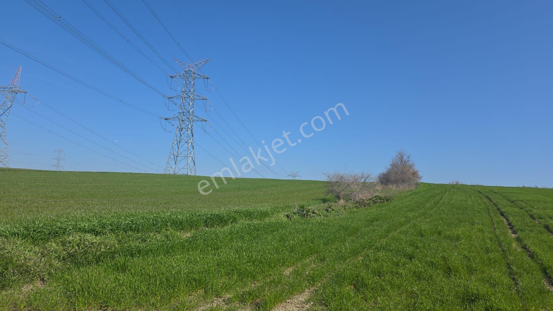 Çanakkale/gelibolu/bolayır Tek Tapu Tarla 22.720 M2 Satılıktır. - Görsel 16