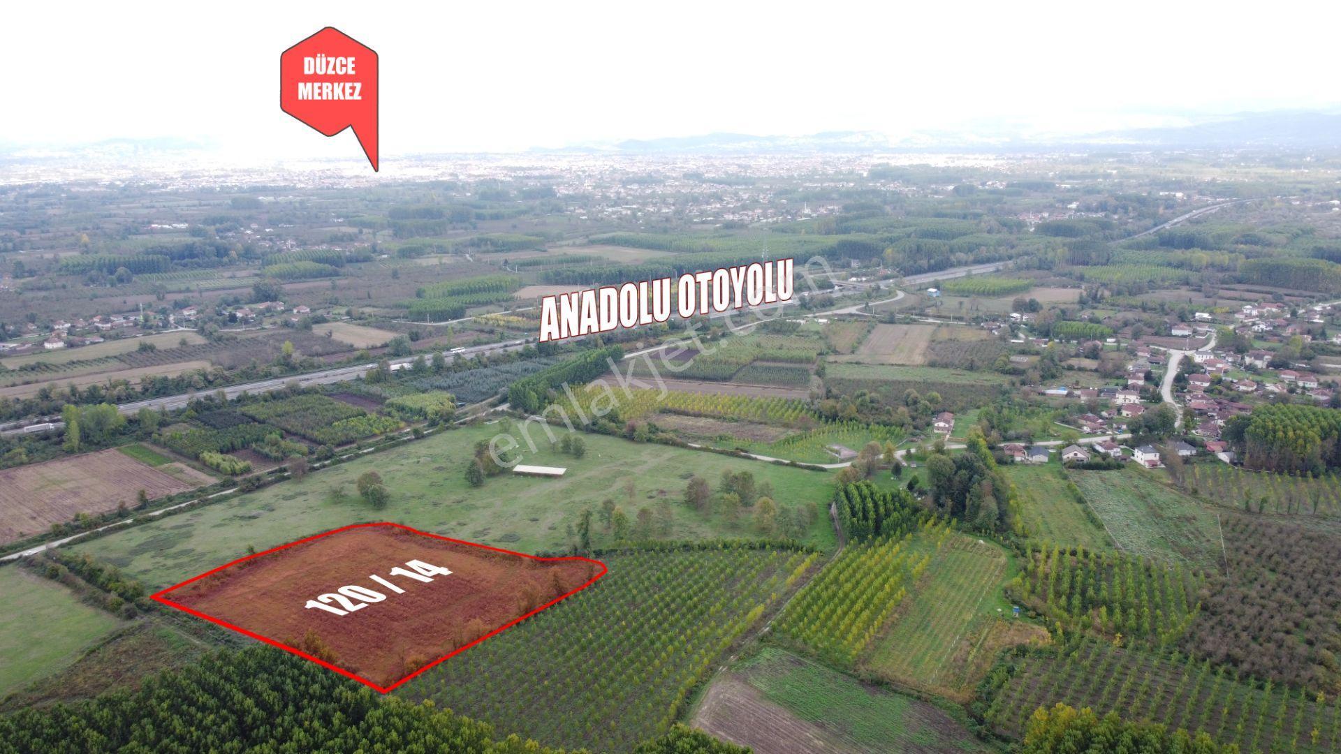 Bataklı Çiftlik Köyü | Otobanın Dibinde 15.718 M2 Satılık Tarla - Görsel 4