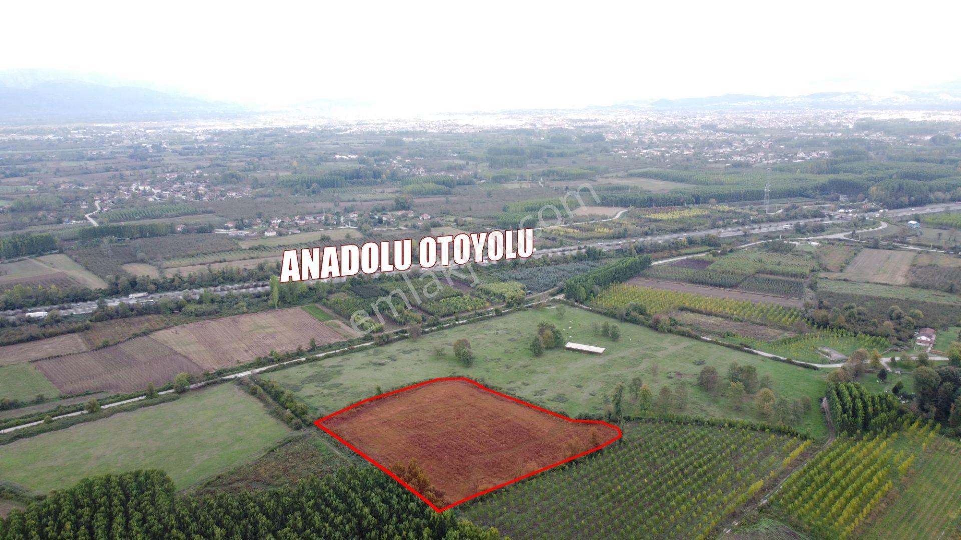 Bataklı Çiftlik Köyü | Otobanın Dibinde 15.718 M2 Satılık Tarla