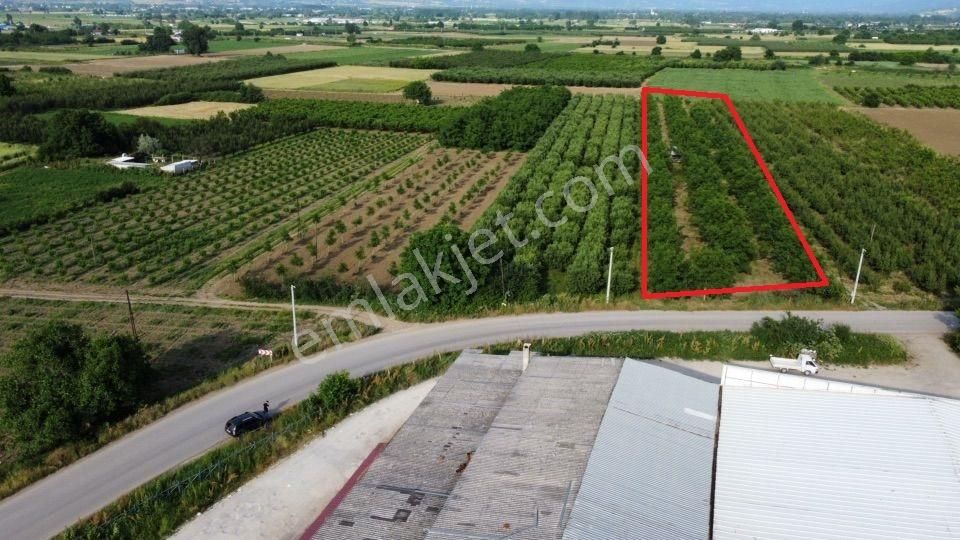 Ulucan Dan İnegöl Deydinler'de Satılık Tarla - Görsel 2