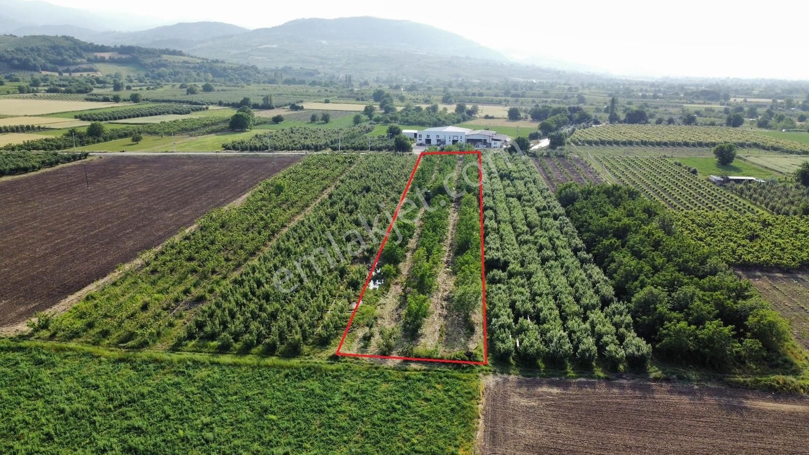 Ulucan Dan İnegöl Deydinler'de Satılık Tarla - Görsel 3