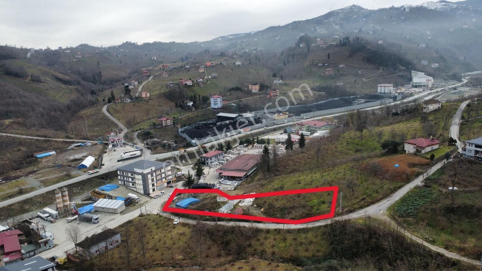 Trabzon Yomrada Satılık Ticari Ve Konut İmarlı Arsa - Görsel 3