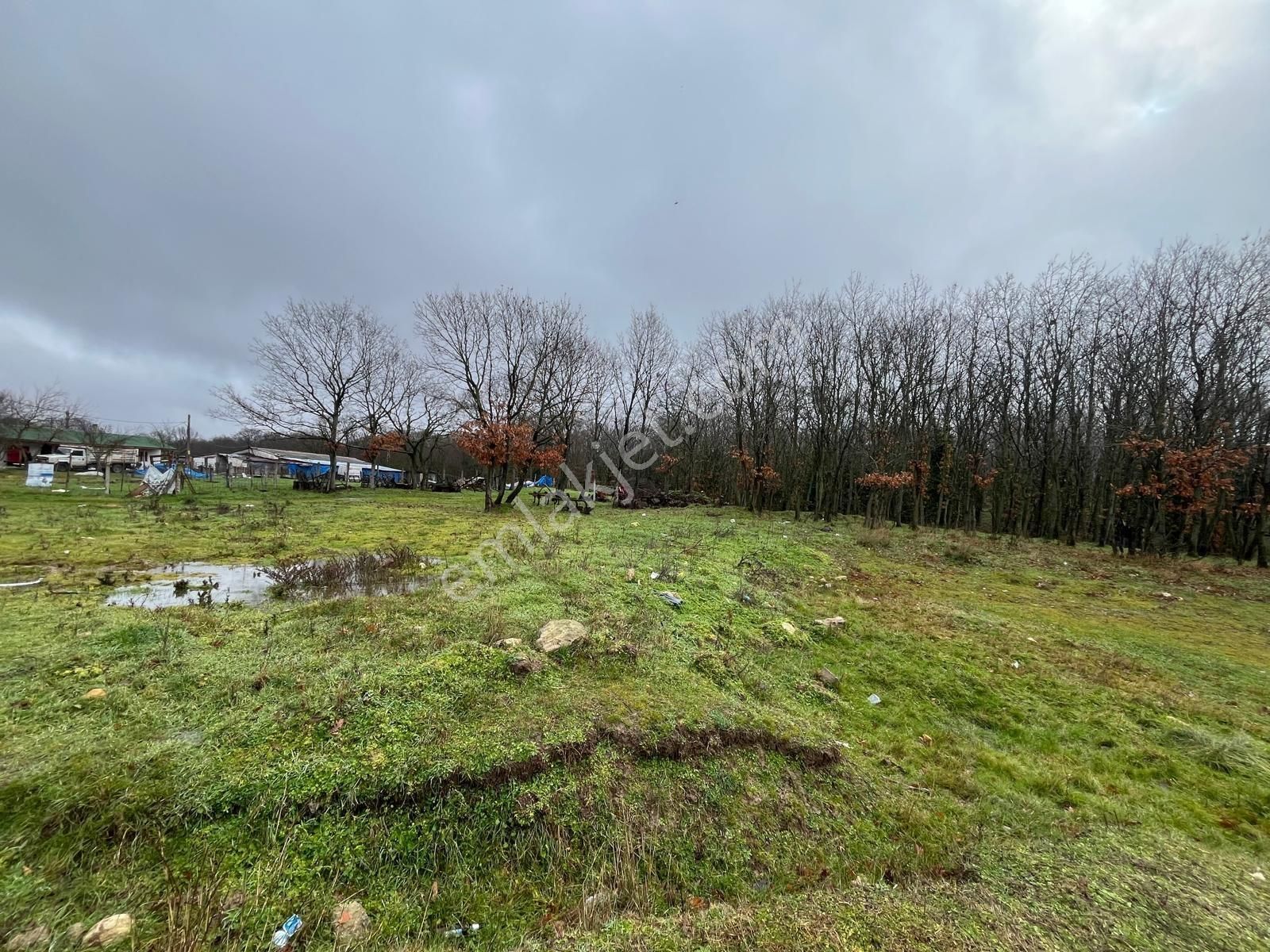 Kapaklı Pınarca Da Caddeye Cephe Tarladan Hisse - Görsel 3