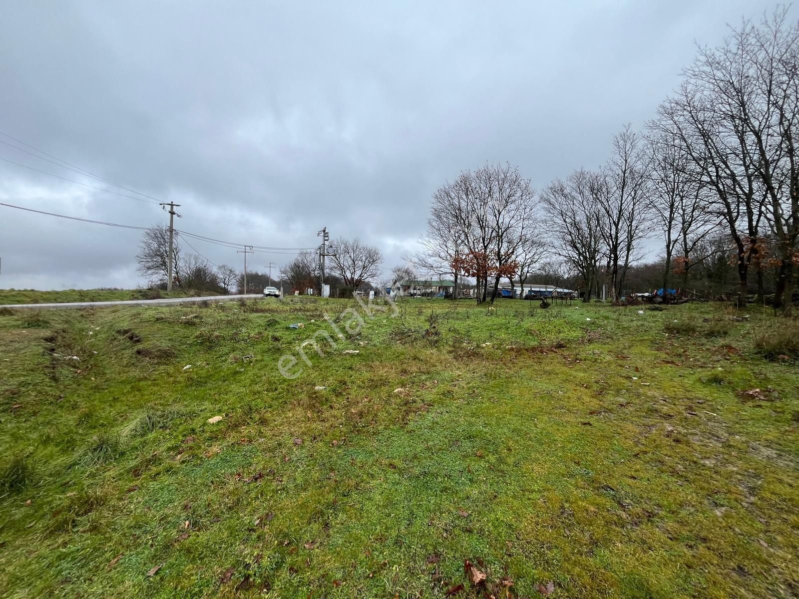 Kapaklı Pınarca Da Caddeye Cephe Tarladan Hisse - Görsel 4