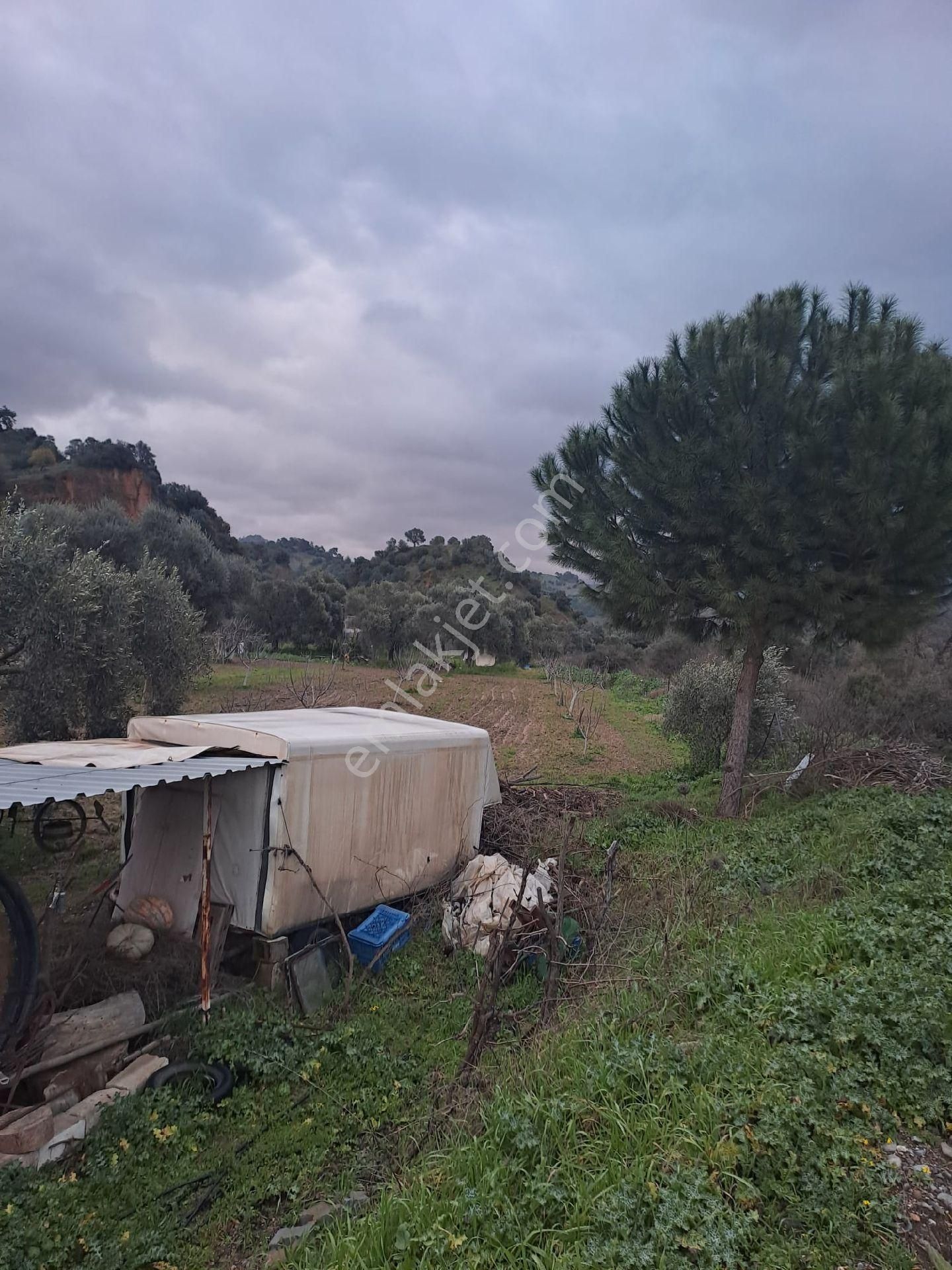 Satılık İncir Bahçesi Yolu Suyu Mevcut - Görsel 10
