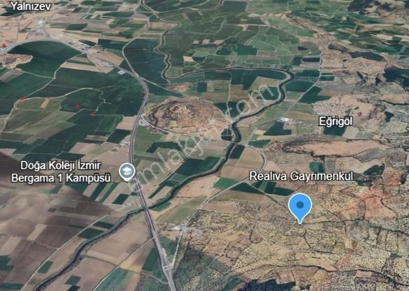 Realivadan Anayola Yakın 3600 M2 Zeytinli Tarla - Görsel 6