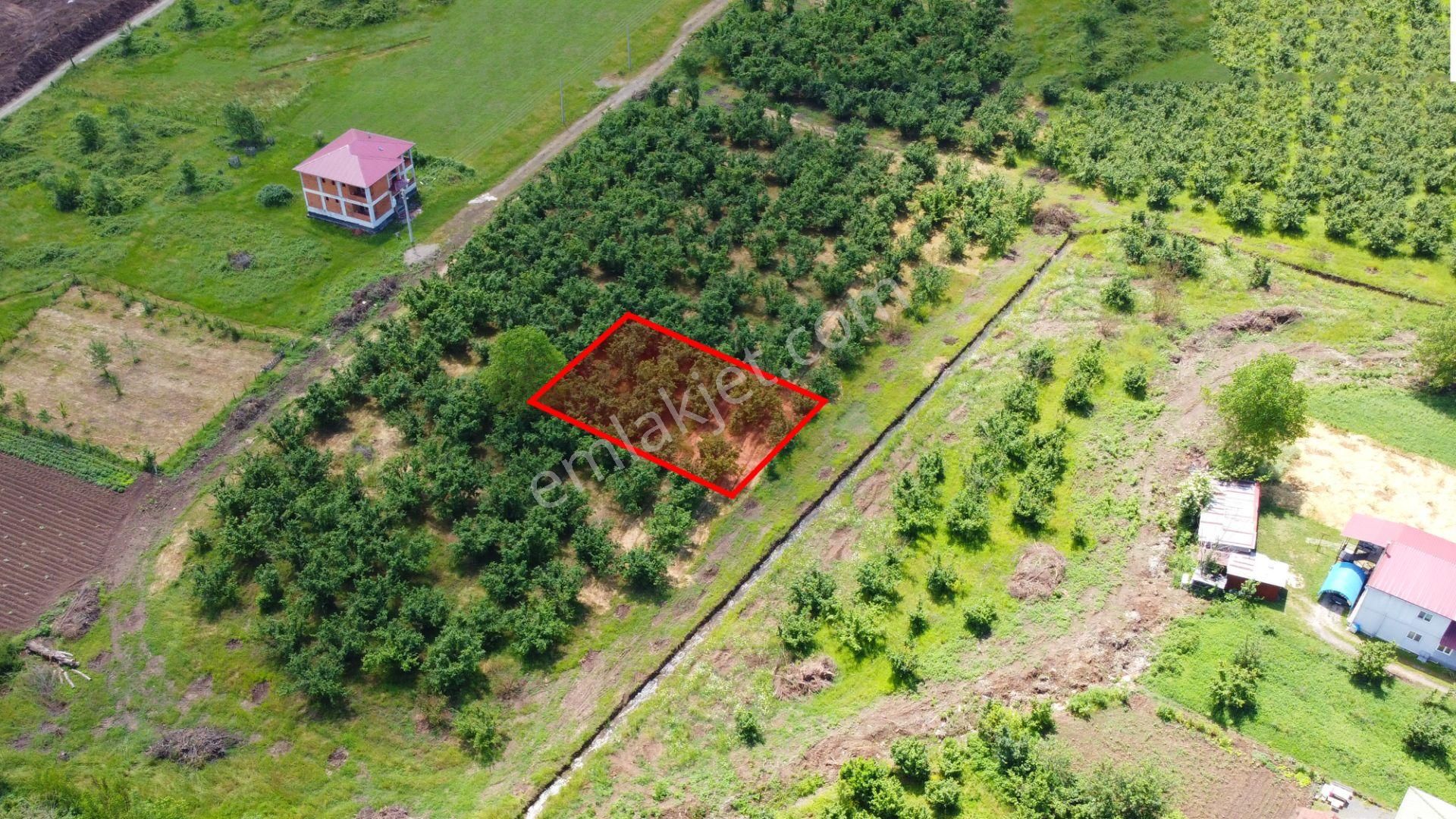 Beyköy Beytepe Mh.de 3 Kat İmarlı 513 M2 Satılık Arsa