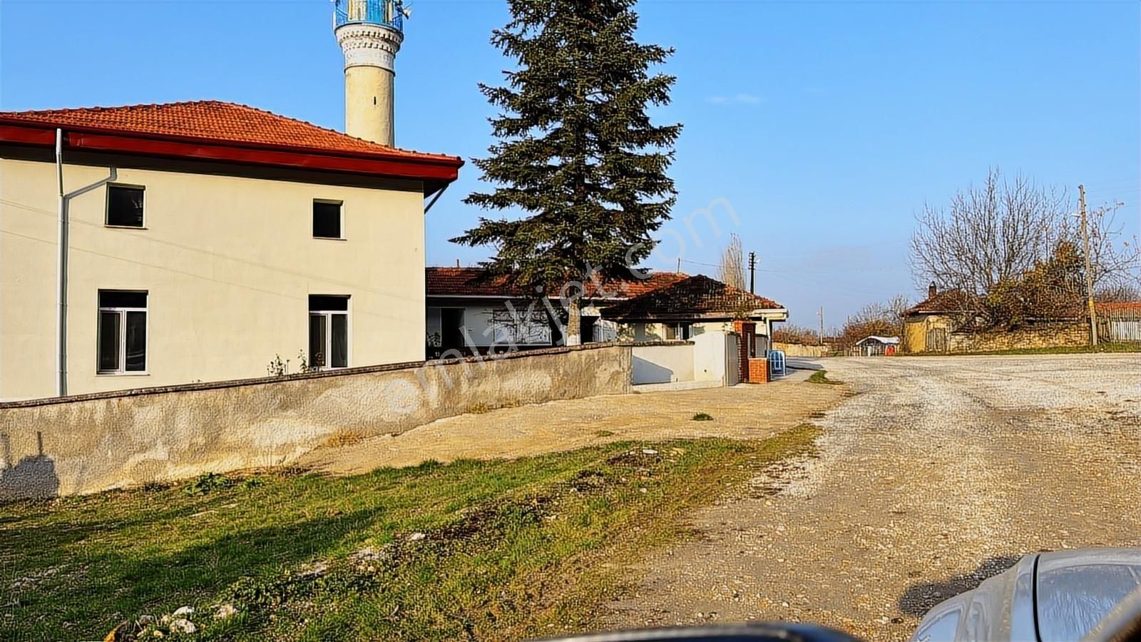 Bilecik Bozüyük Ormangüzle Köyünde 2.339 M2 Satılık Çamlık - Görsel 11