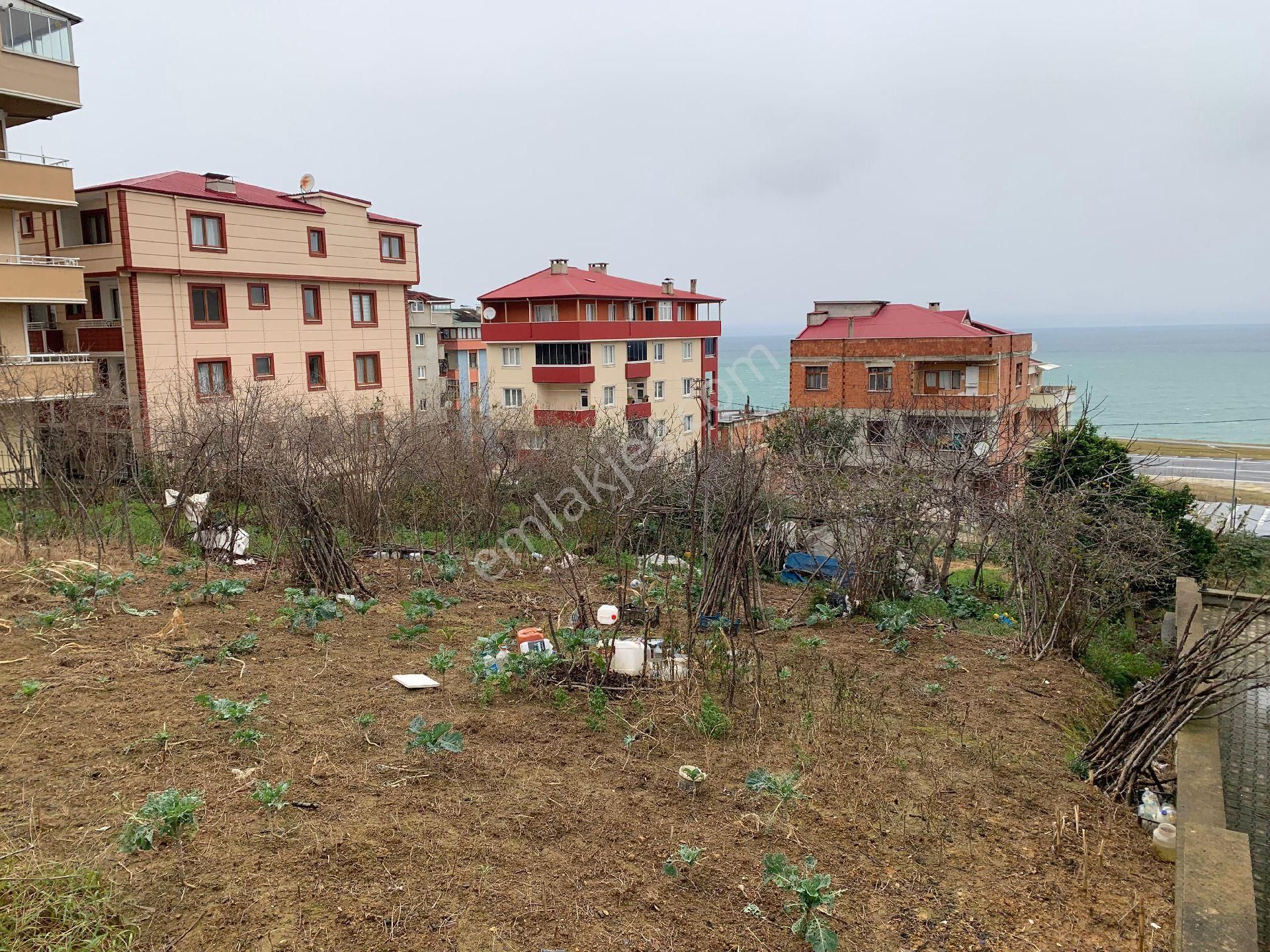 Doğuş Gayrimenkul Ortahisar Pelitli De Kat Karşılığı Arsa - Görsel 5