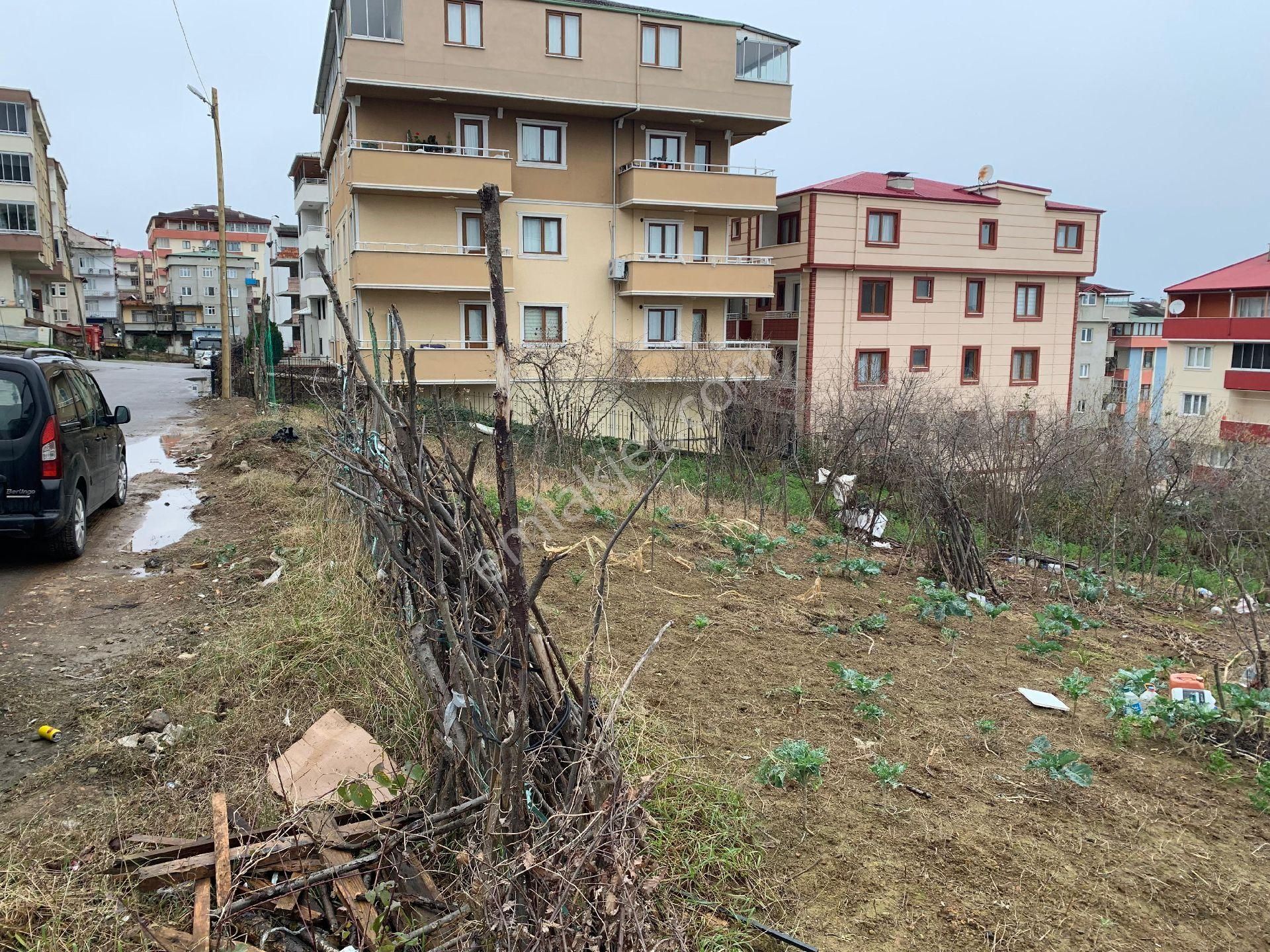 Doğuş Gayrimenkul Ortahisar Pelitli De Kat Karşılığı Arsa - Görsel 6