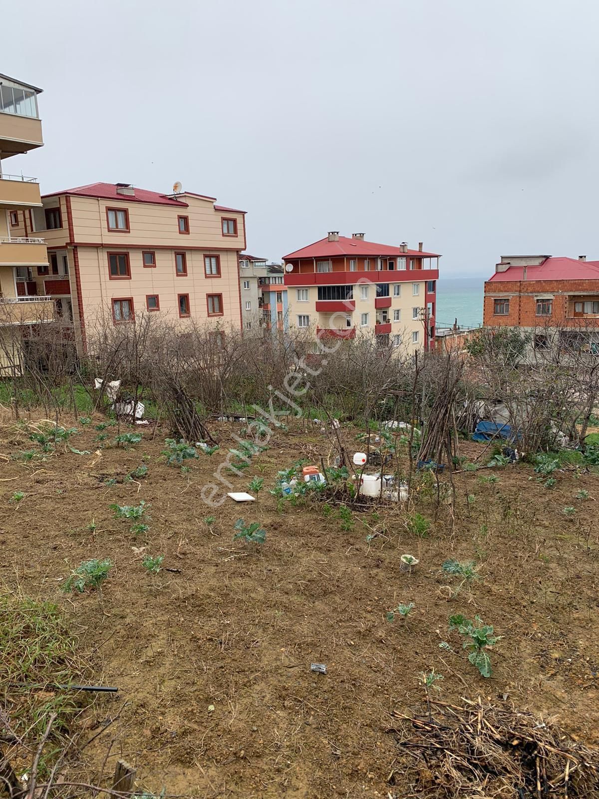 Doğuş Gayrimenkul Ortahisar Pelitli De Kat Karşılığı Arsa - Görsel 15