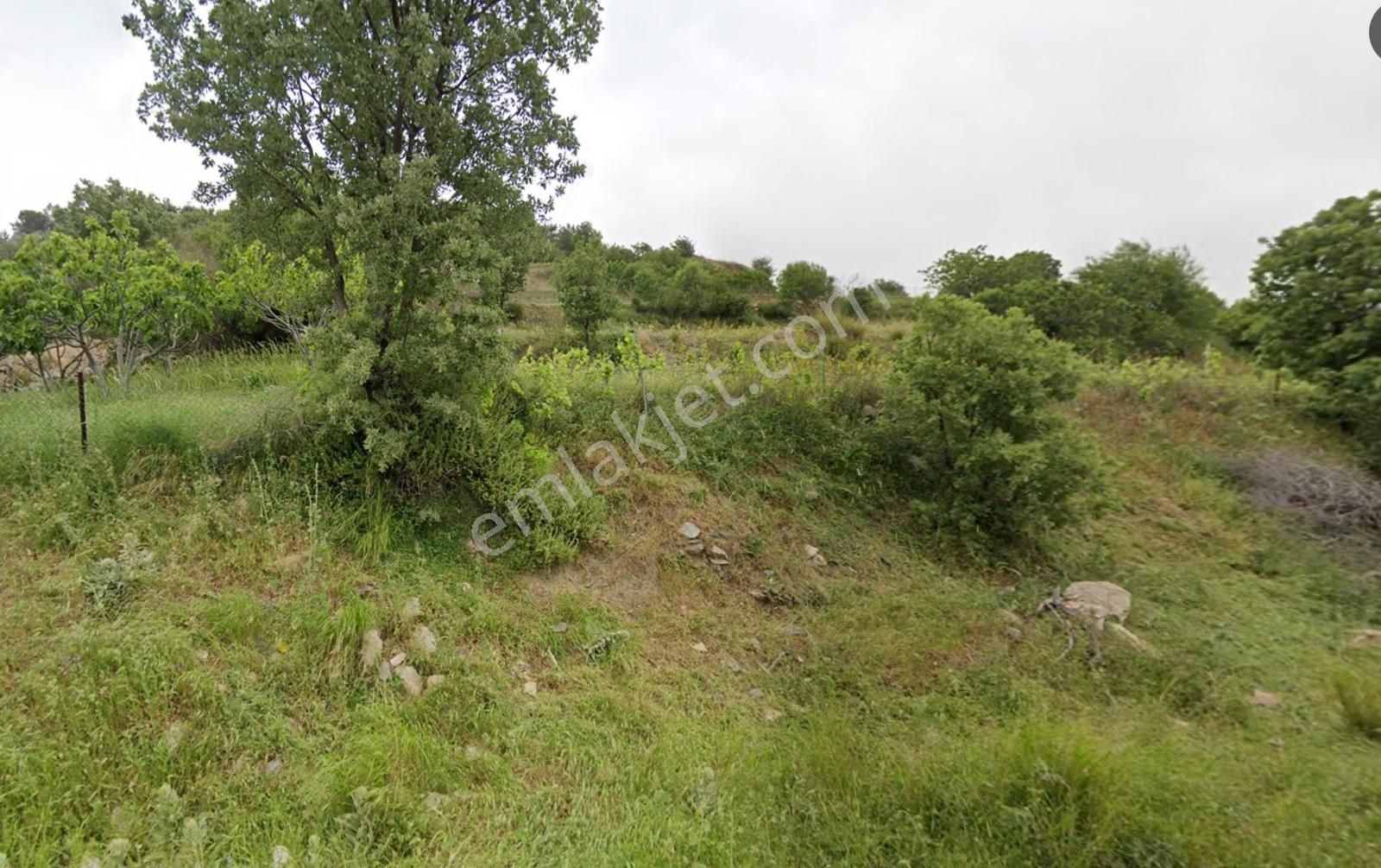 Güzelbahçe Payamlı'da Satılık 308 M2 Müstakil Parsel Fırsat Bahç - Görsel 2