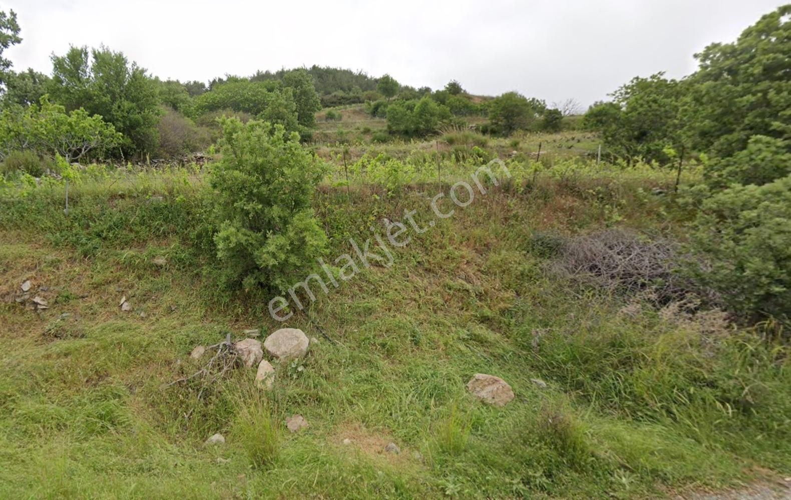 Güzelbahçe Payamlı'da Satılık 308 M2 Müstakil Parsel Fırsat Bahç