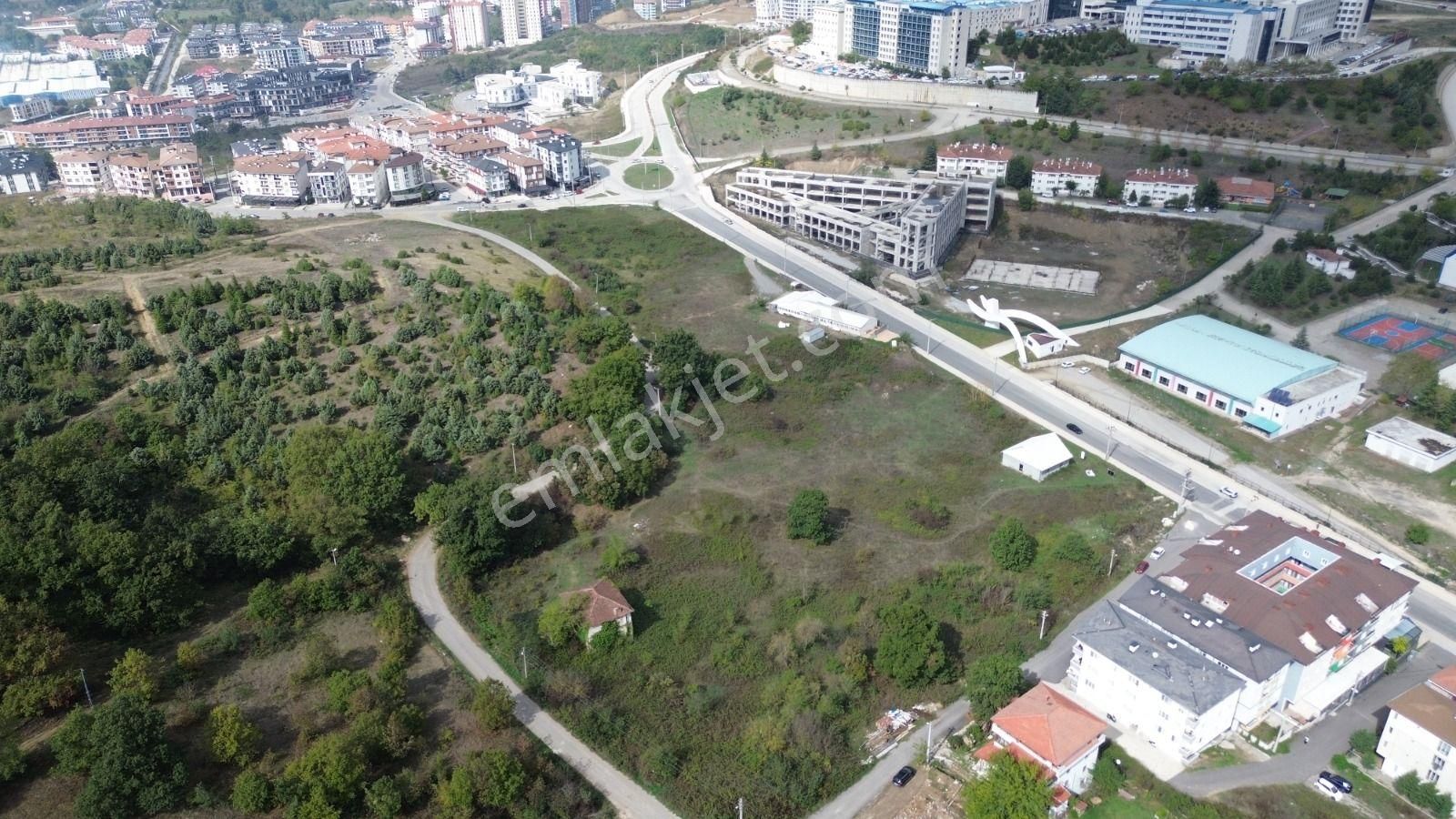 Düzce Üniversitesi’ne Yakın, Yatırım Değeri Yüksek Satılık Arsa - Görsel 8