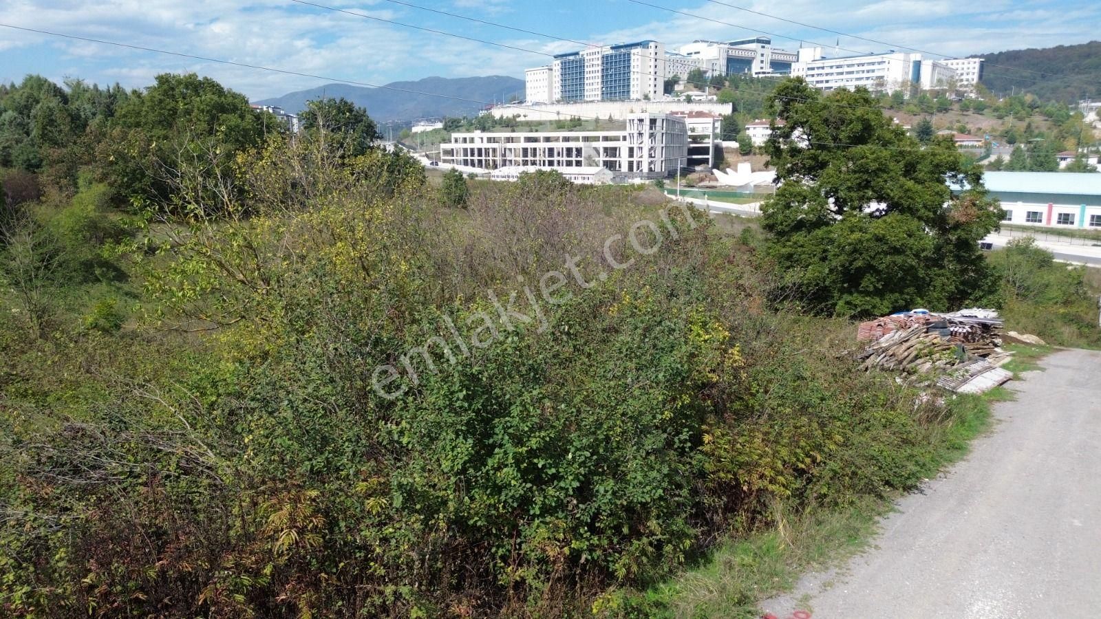 Düzce Üniversitesi’ne Yakın, Yatırım Değeri Yüksek Satılık Arsa - Görsel 33