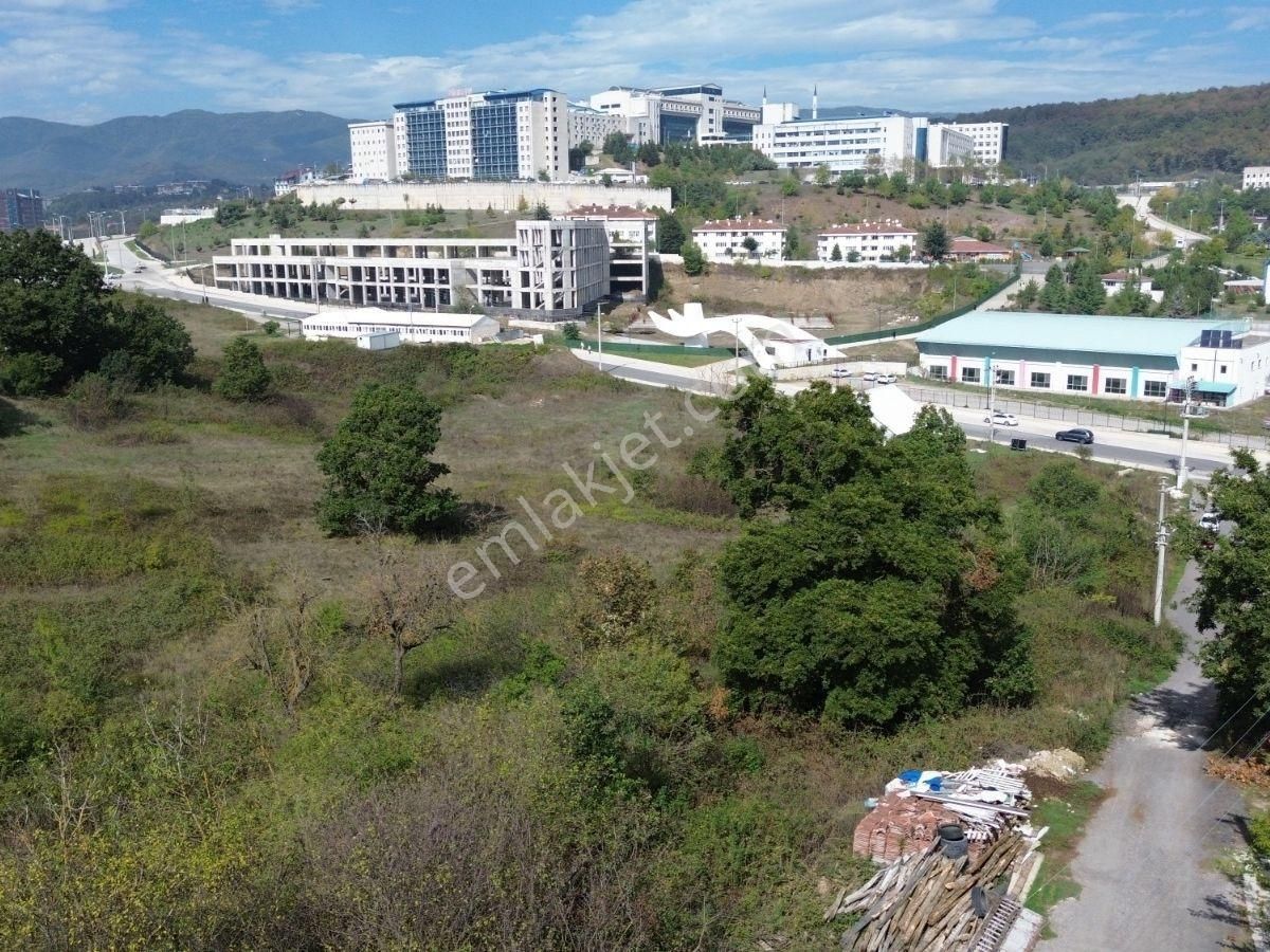 Düzce Üniversitesi’ne Yakın, Yatırım Değeri Yüksek Satılık Arsa - Görsel 3