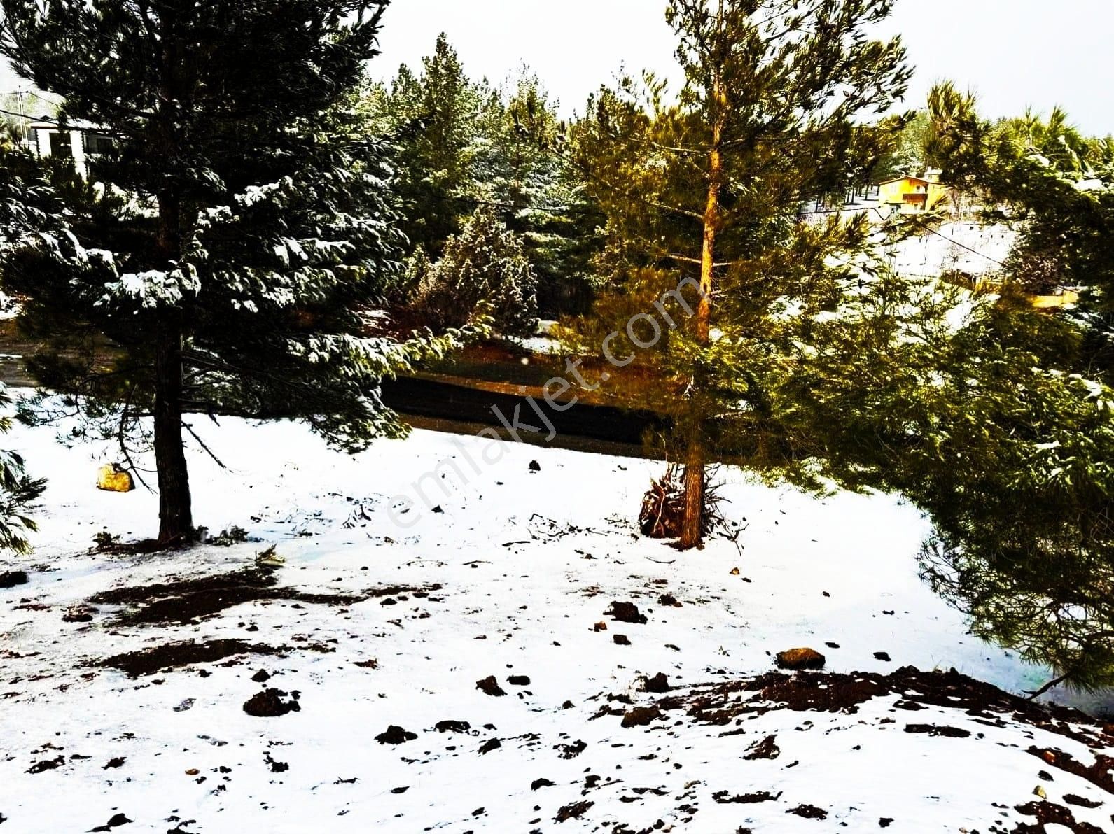 Kar Emlak Ve İnşaattan Alpu Yaylasında 485 M2 Satılık Arsa