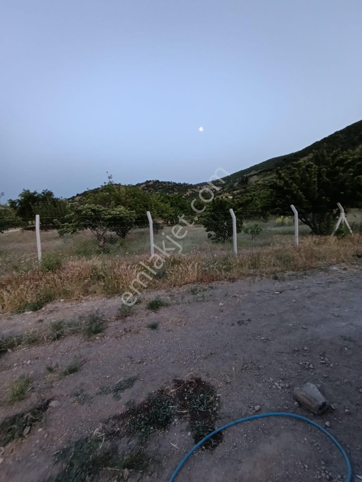 Emlaknomi'den Madenşehri 2000 M2 İçerisinde Ev Var Elektrik Şebeke Suyu Yol Var Etrafı Tel Örgülü - Görsel 12