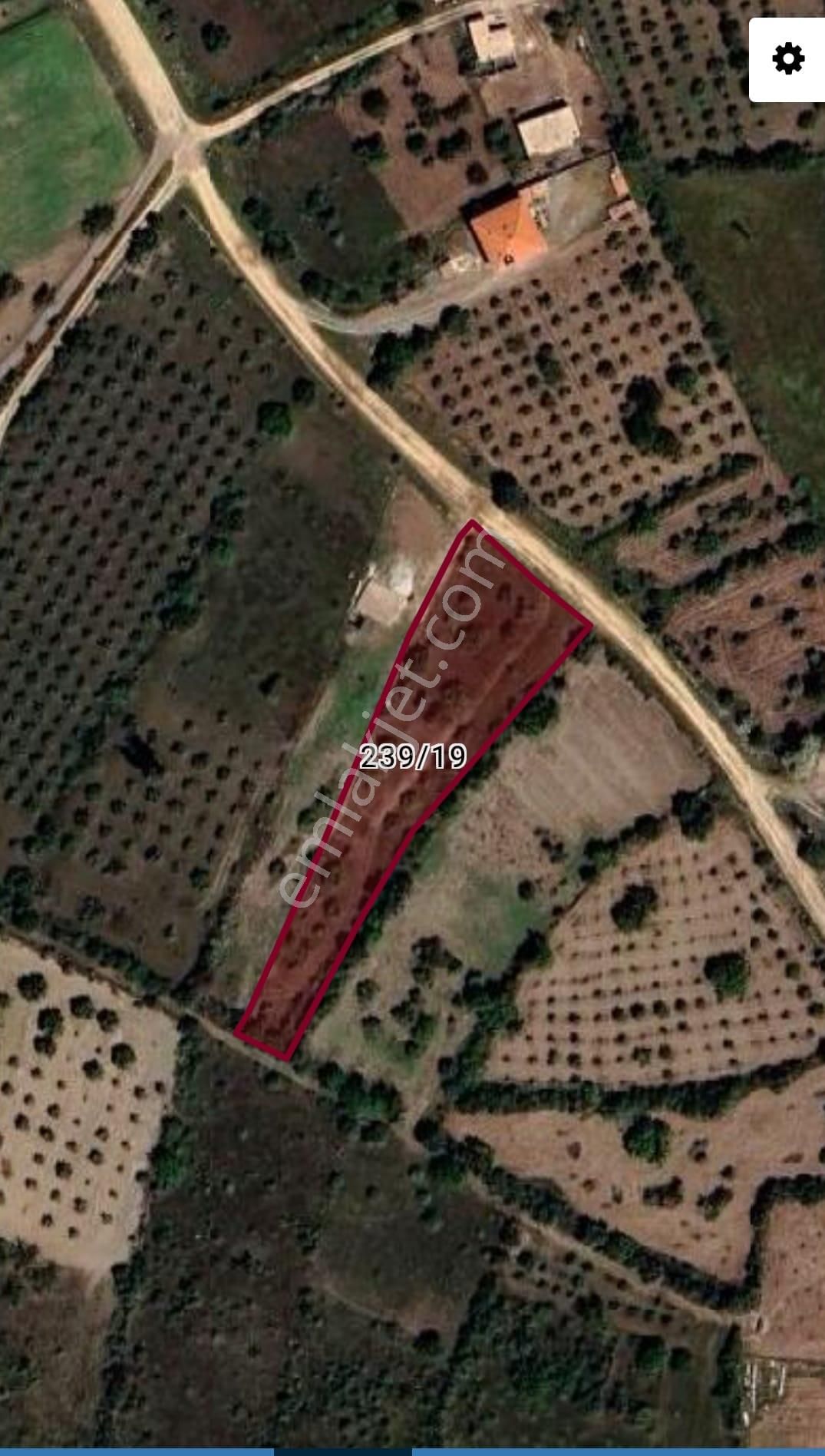 Emlaknomi'den Madenşehri 2500 M2 Elektrik Şebeke Suyu Alınır Yolu Var - Görsel 3