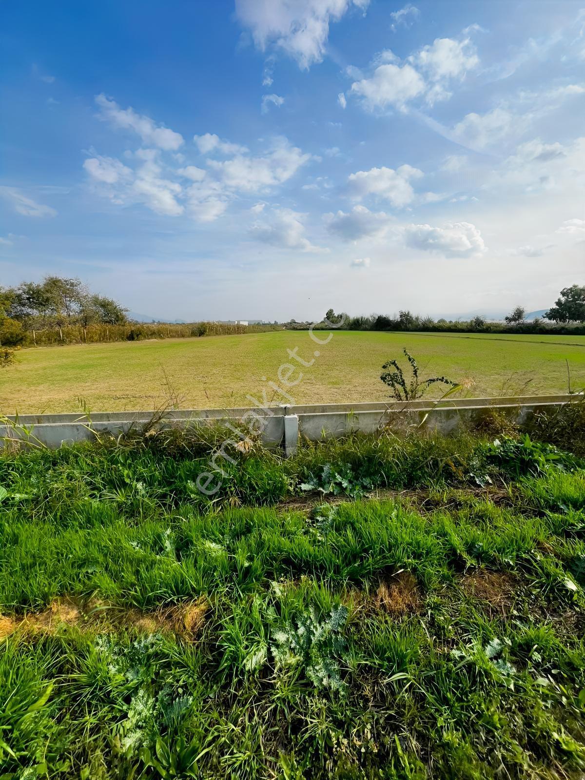 Anayola Yakın, Göl Manzaralı 8.409 M² Tarla Verimli Arazi - Görsel 20