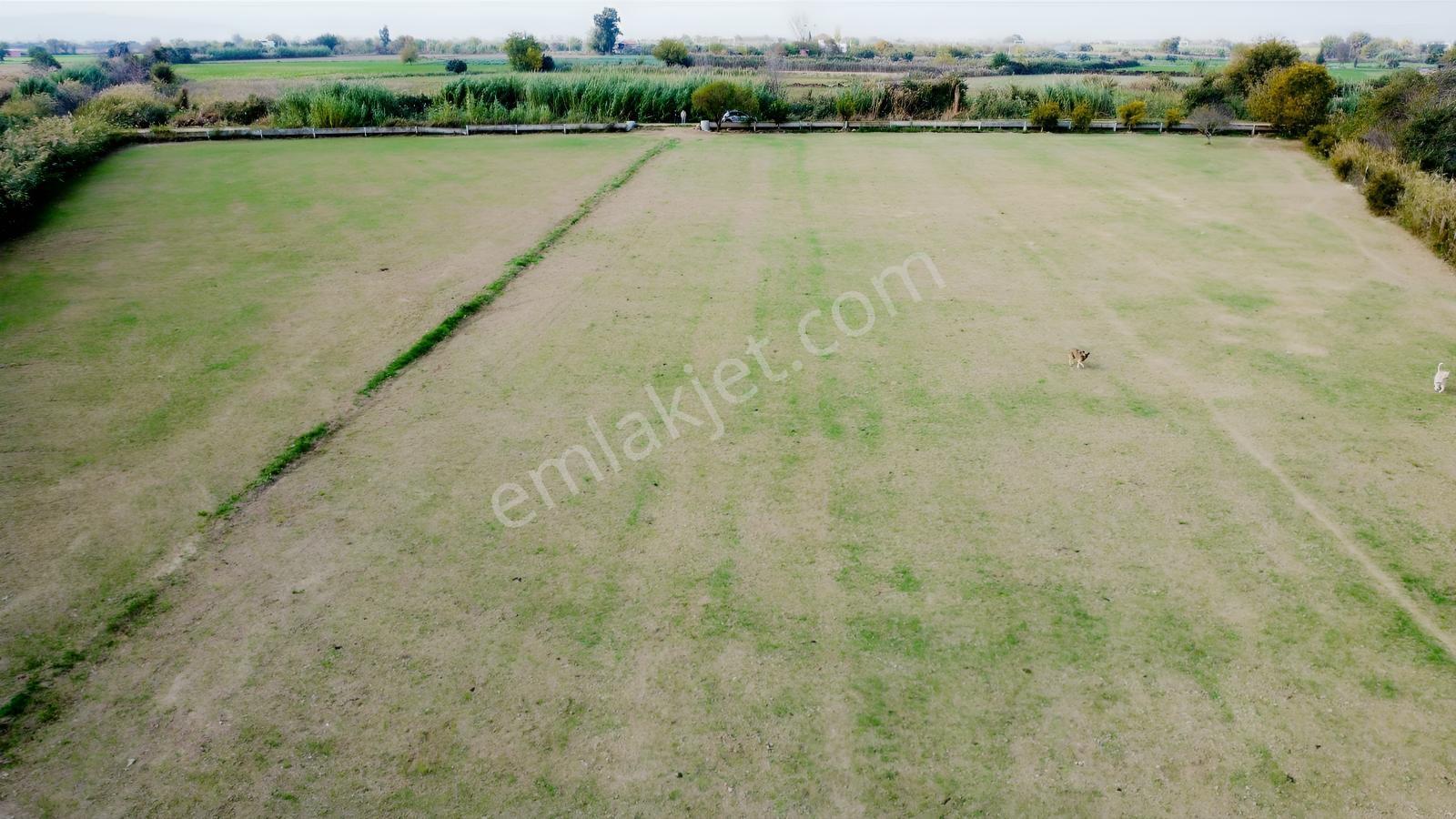 Anayola Yakın, Göl Manzaralı 8.409 M² Tarla Verimli Arazi - Görsel 4