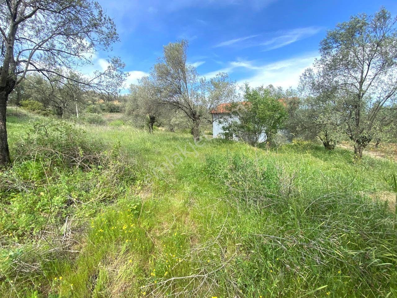 🔴aktiften Pelitköy'de 350 M2 %20 Konut İmarlı Satılık Arsa 🔴 - Görsel 9