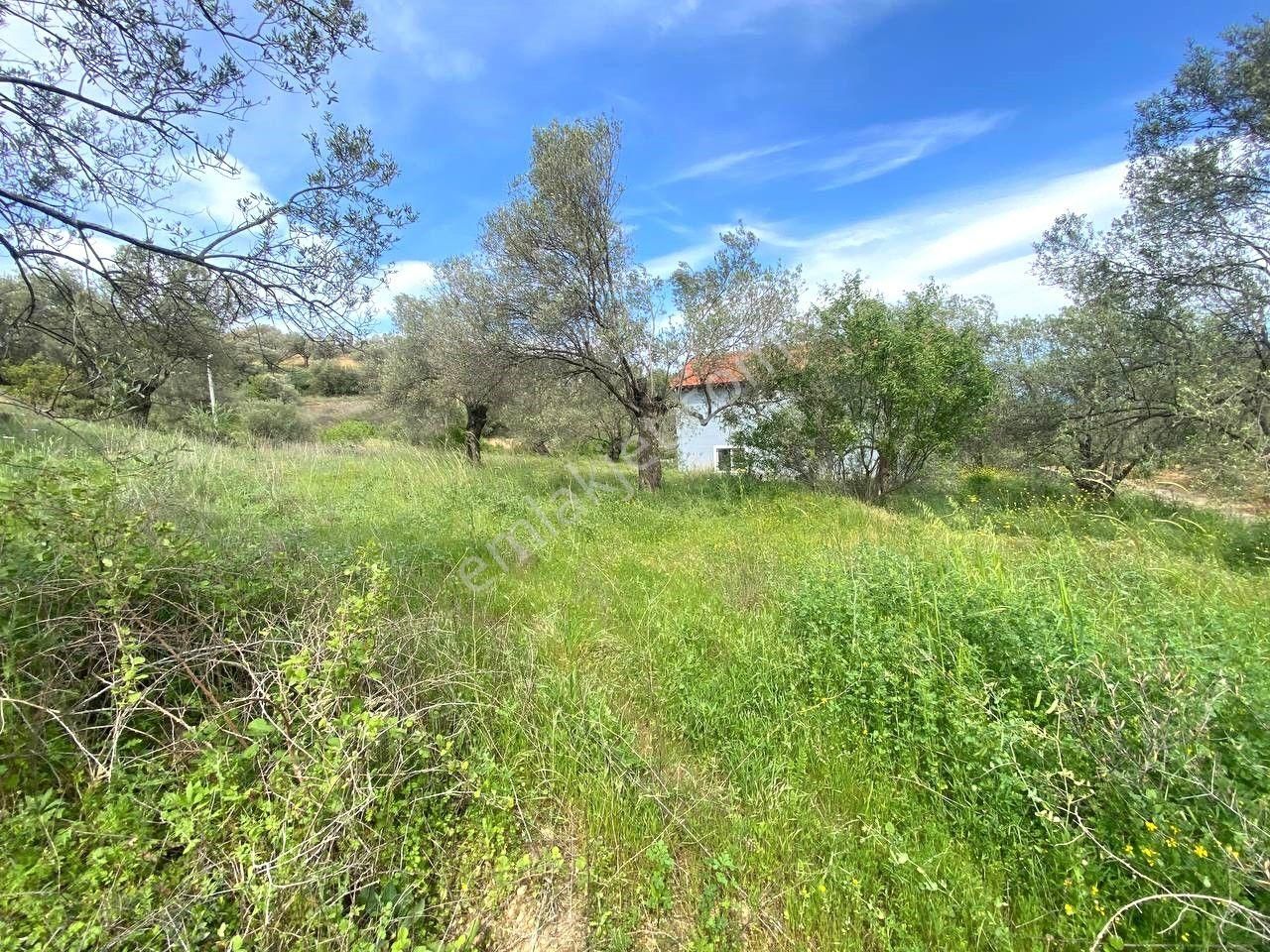 🔴aktiften Pelitköy'de 350 M2 %20 Konut İmarlı Satılık Arsa 🔴 - Görsel 21