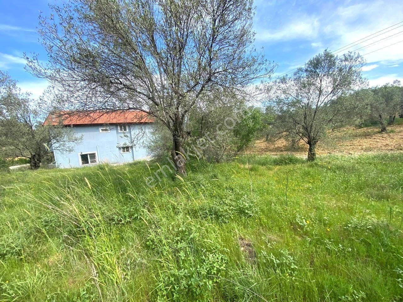 🔴aktiften Pelitköy'de 350 M2 %20 Konut İmarlı Satılık Arsa 🔴 - Görsel 34