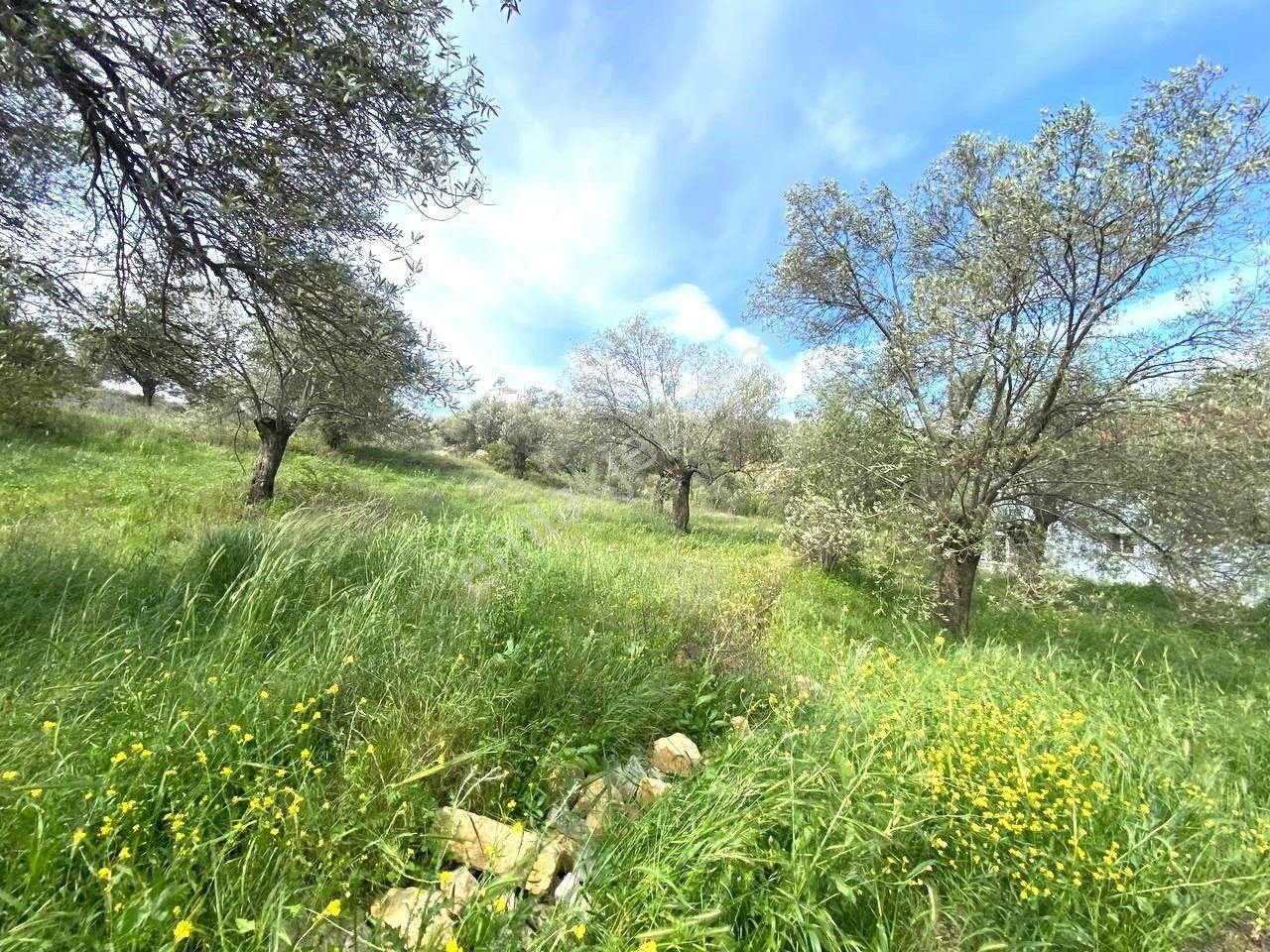 🔴aktiften Pelitköy'de 350 M2 %20 Konut İmarlı Satılık Arsa 🔴 - Görsel 25