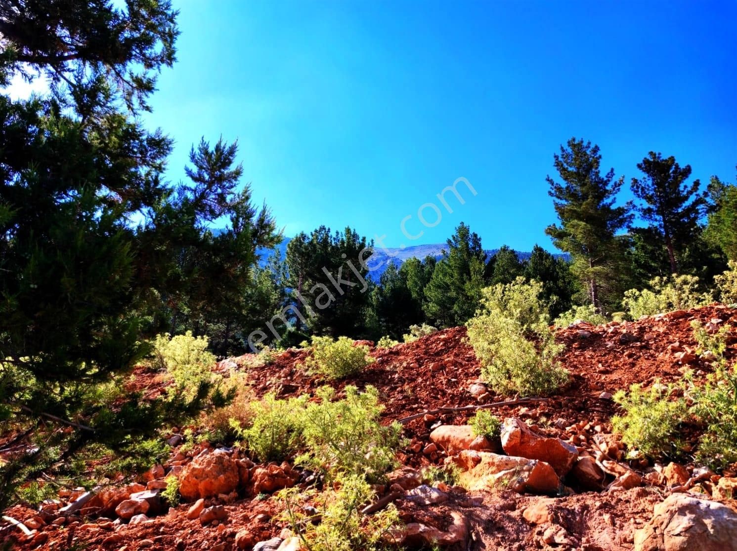 Kar Emlaktan Yenikonacık Efes Sitesi Üzerinde 400 M2 Satılık Arsa - Görsel 20