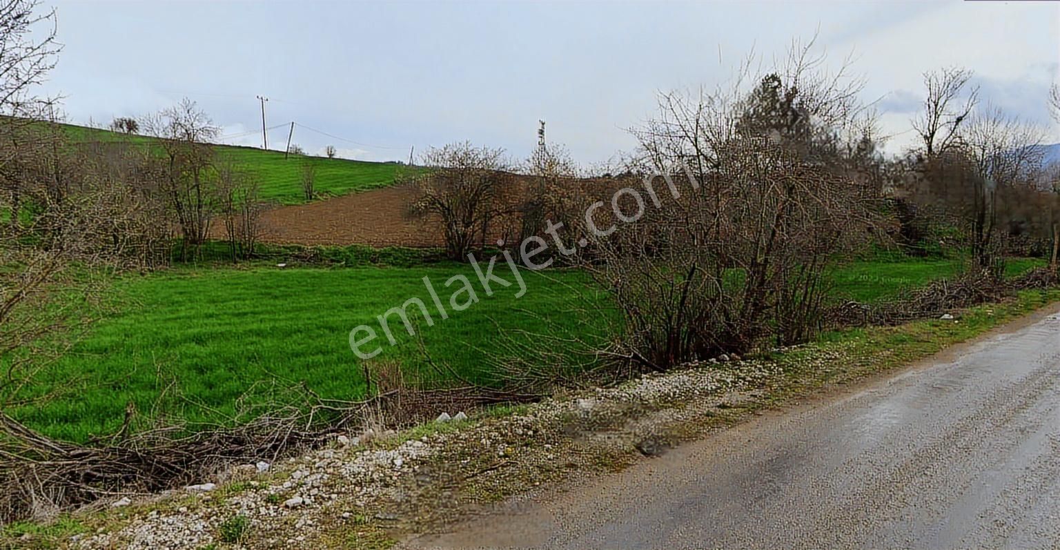 Mudurnu Kaygana Mah. Çavuşlar Çiftliği Müstakil Ev Arsası - Görsel 7