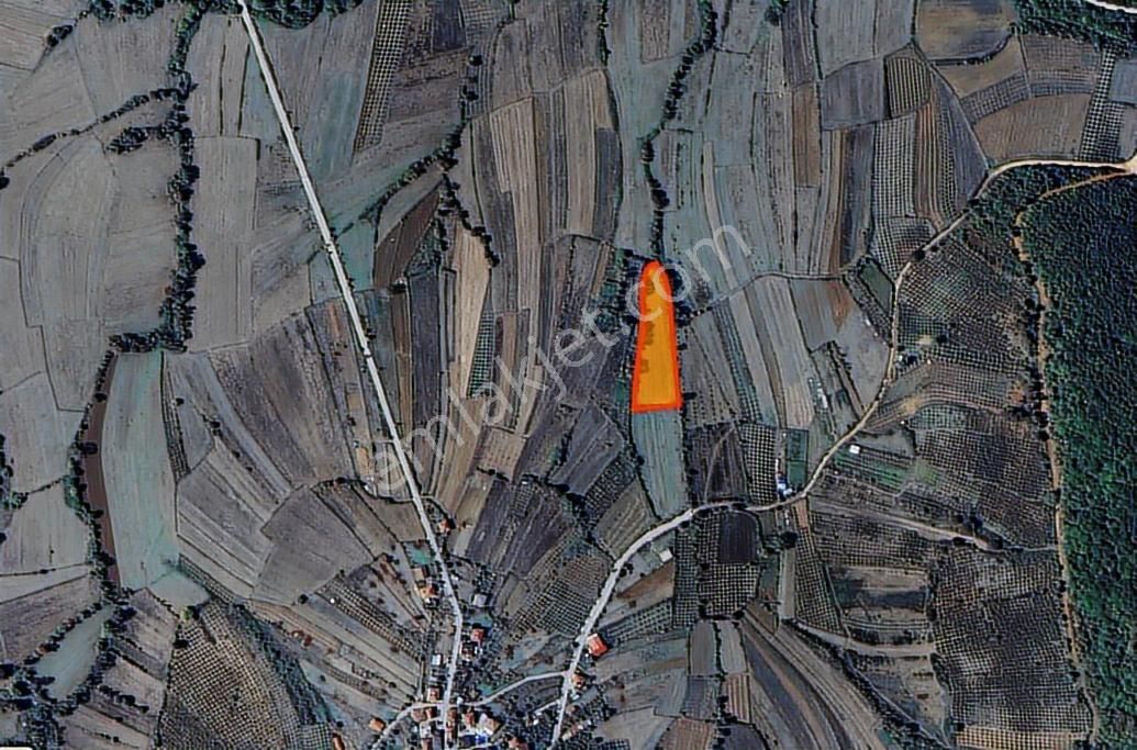 Kandıra Antaplı'da 5.5 Dönüm Tarla - Görsel 10