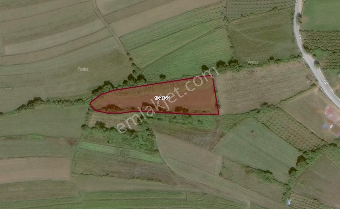 Kandıra Antaplı'da 5.5 Dönüm Tarla - Görsel 4