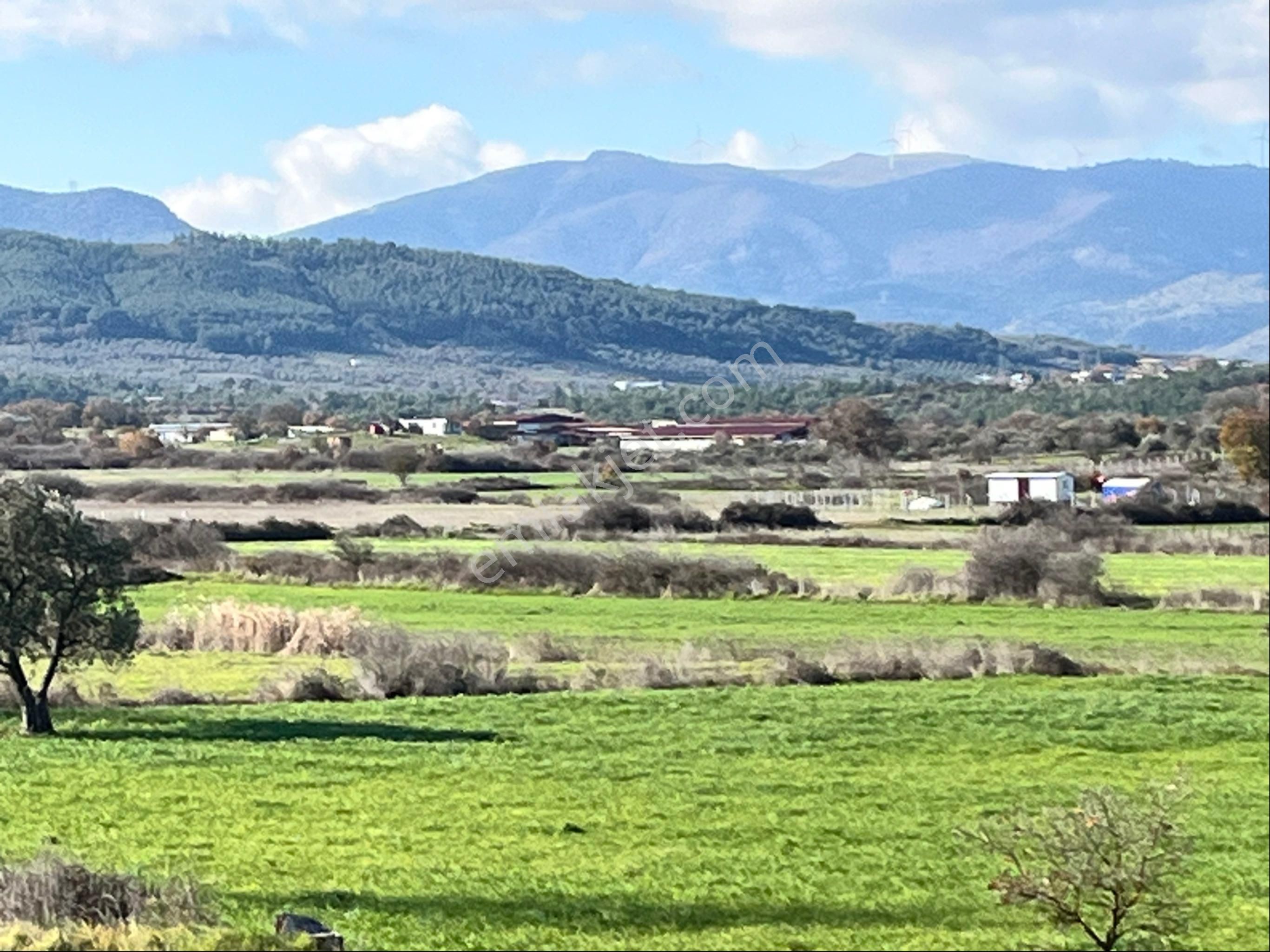 Osmancalı Mah Satılık Tek Tapu 2950m2 Boş Arazi Bilgi İçin Arayın Yardımcı Olalım - Görsel 30