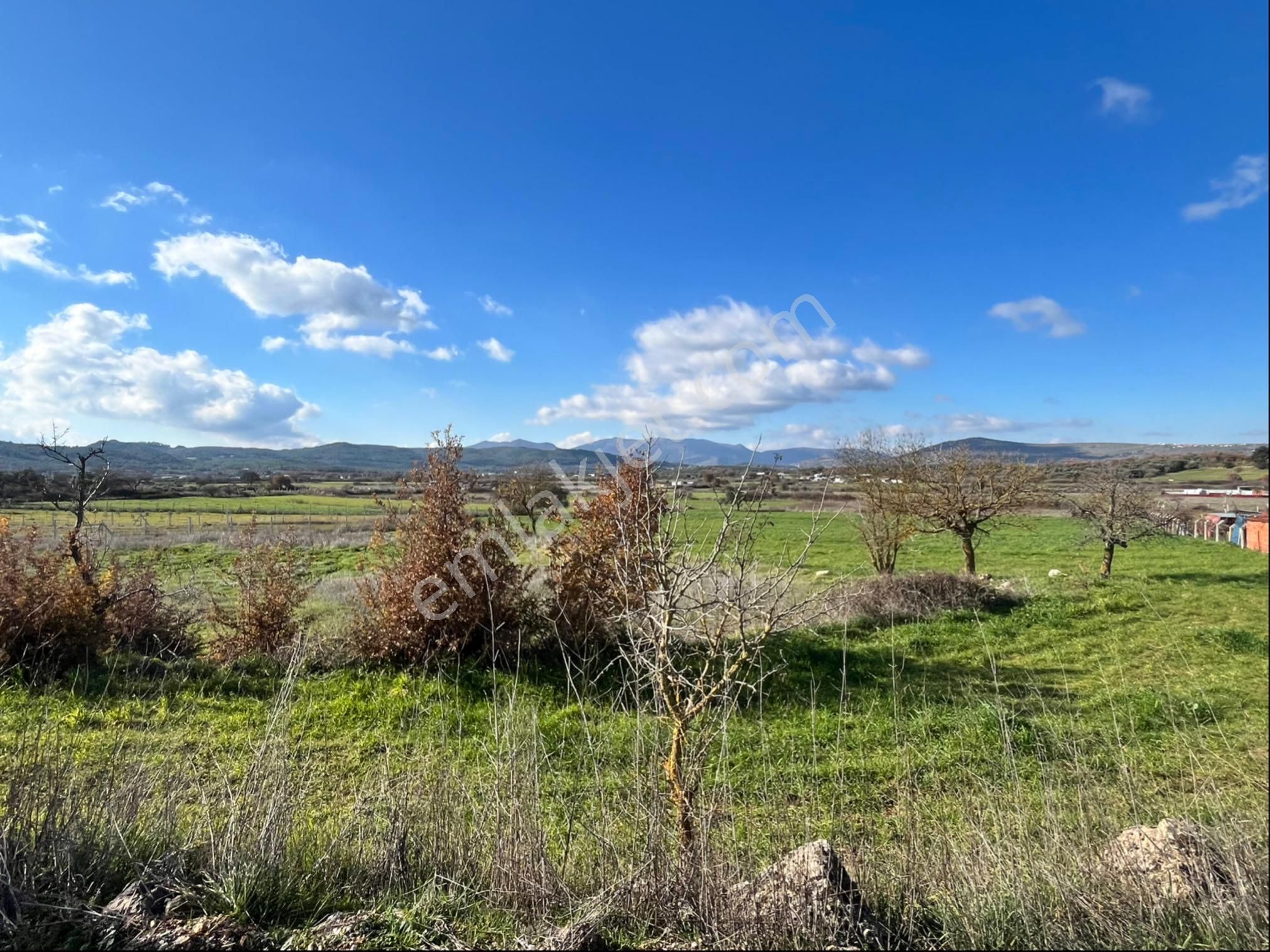 Osmancalı Mah Satılık Tek Tapu 2950m2 Boş Arazi Bilgi İçin Arayın Yardımcı Olalım